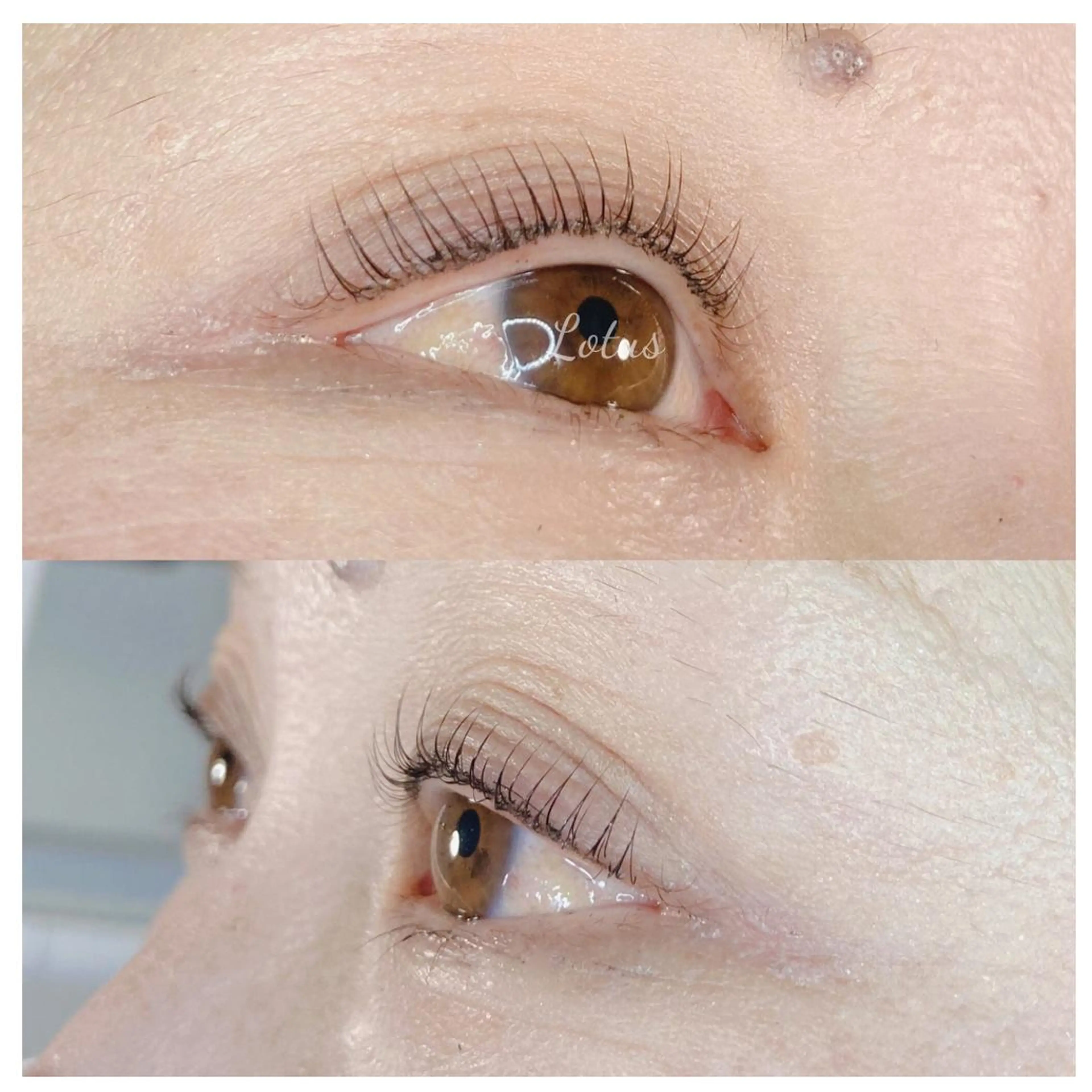 マツエク・マツパ マツパ Lotus所属・Lotus ロータスのマツエク・マツパデザイン