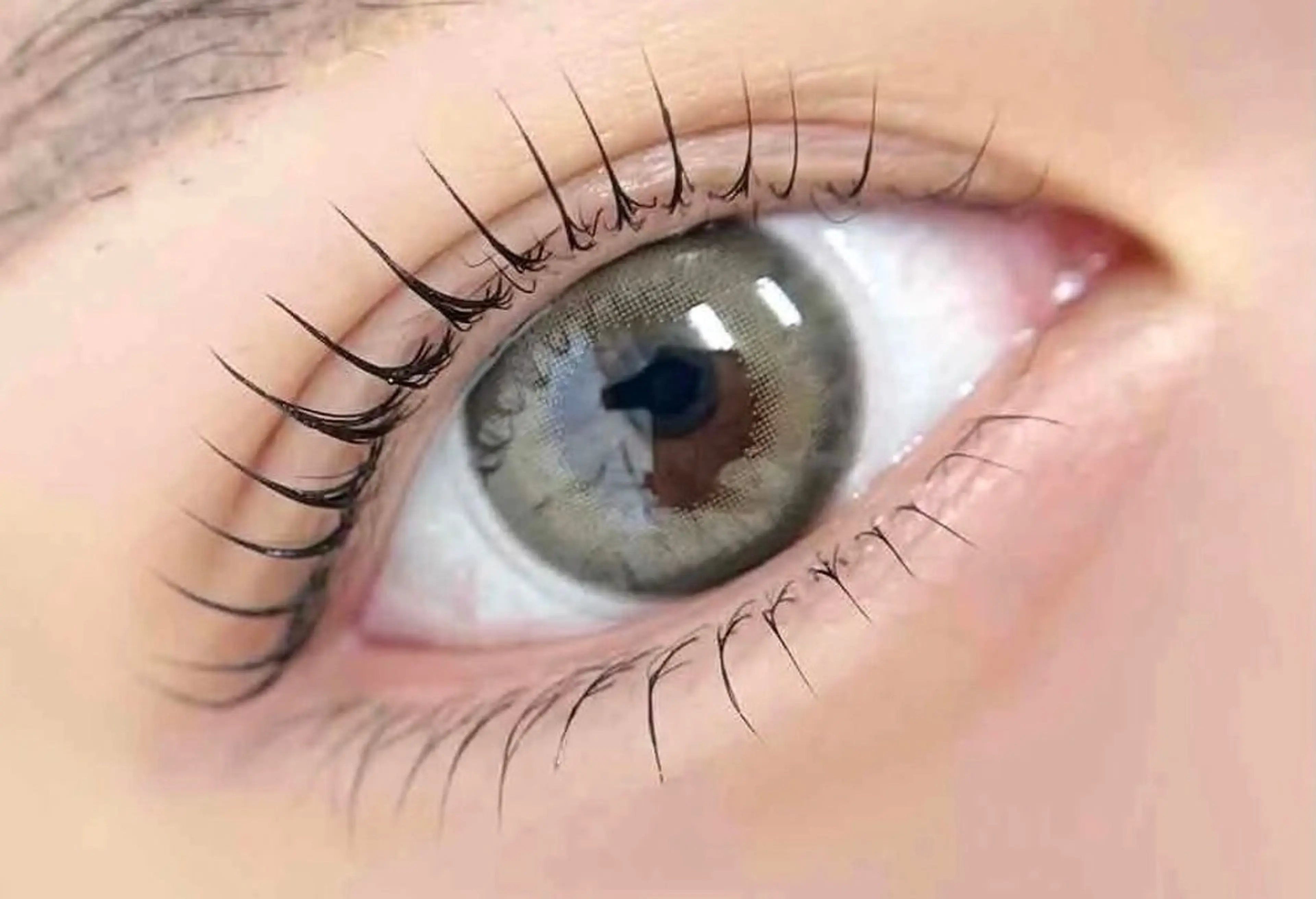 🍒大人気🍒パリジェンヌorまつ毛パーマ上下+コーテイング仕上げの写真