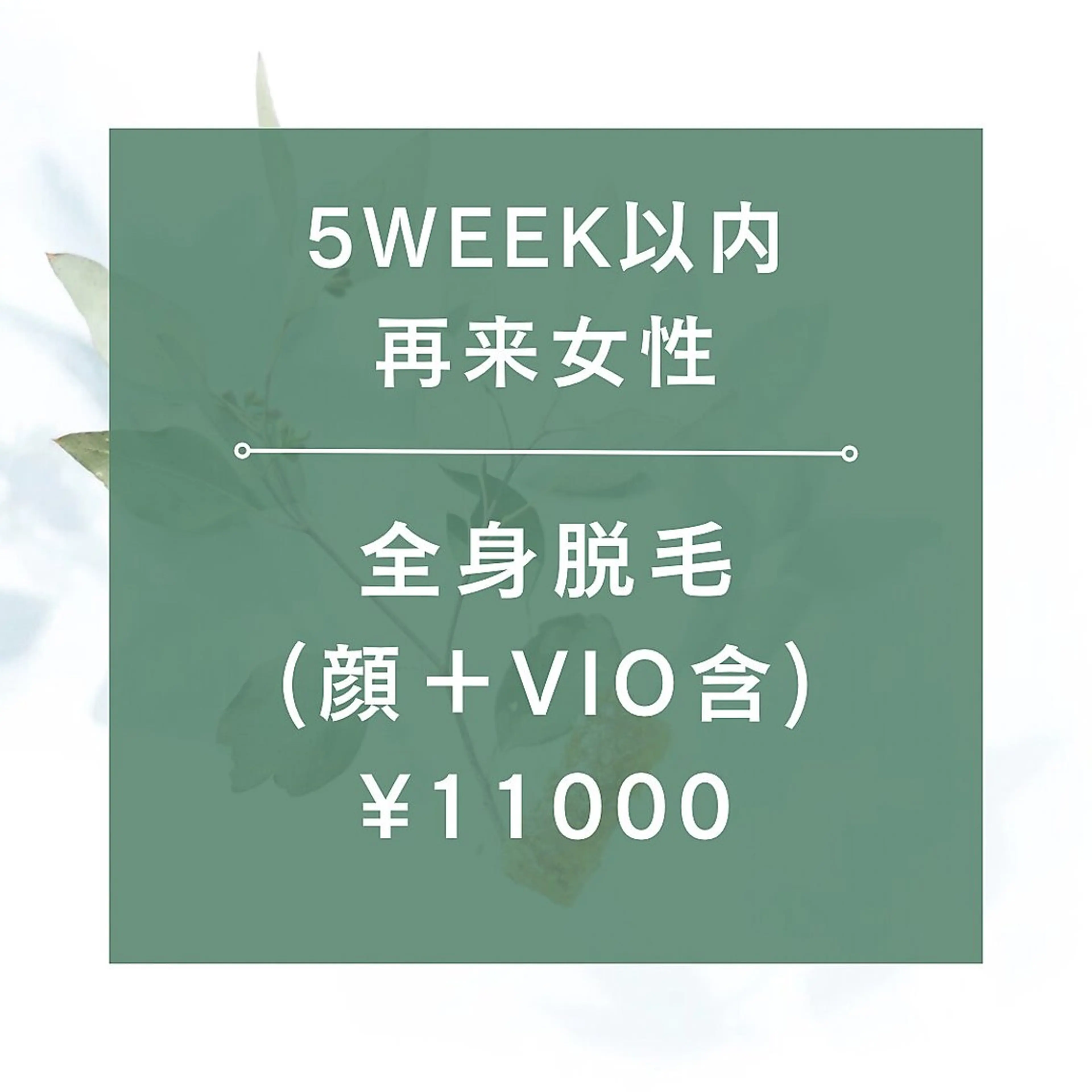 【1ヶ月以内再来女性★☆全身脱毛（全顔+VIO含）¥11000☆★105分の写真