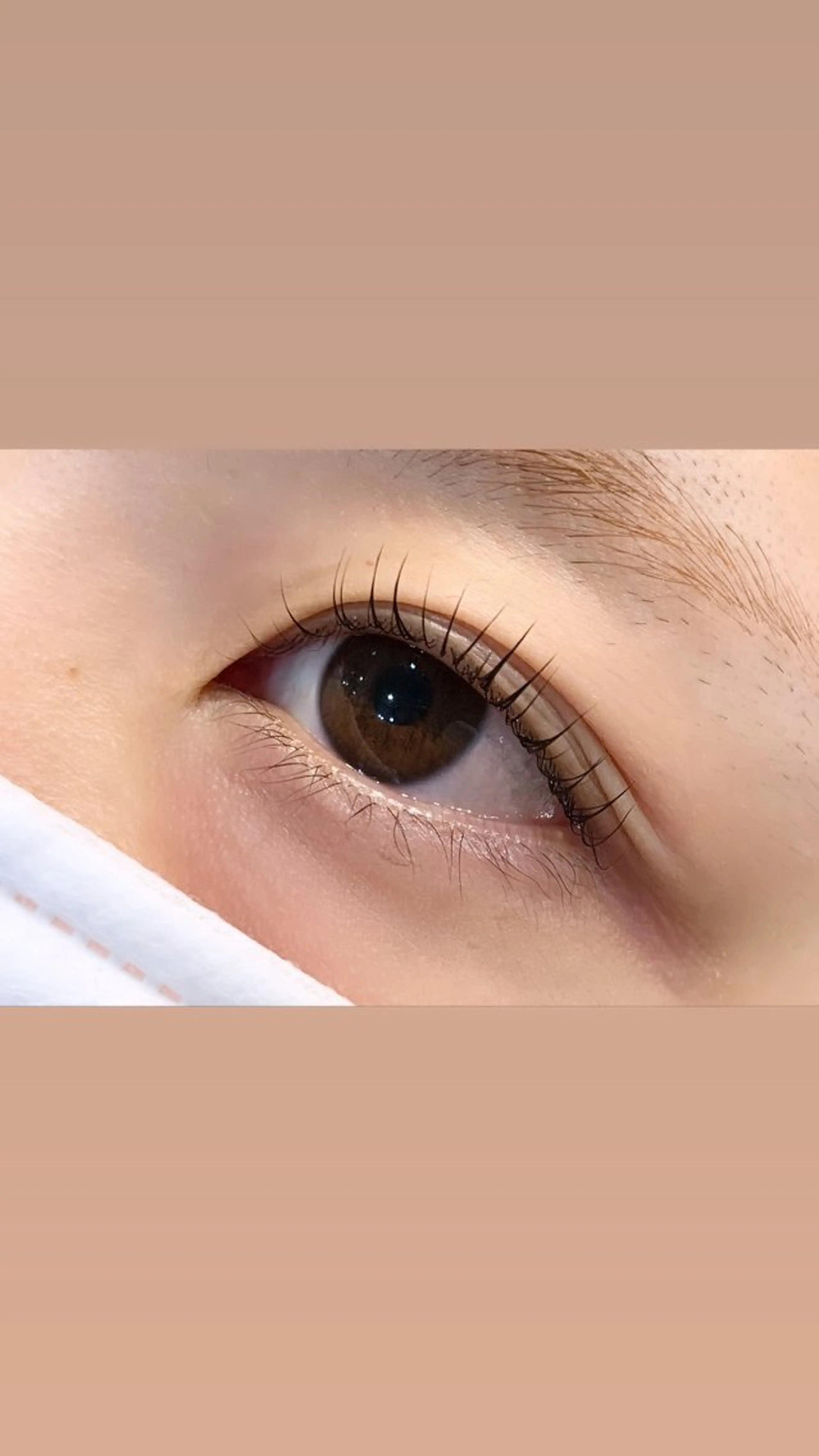 マツエク・マツパ パリジェンヌラッシュリフト hirakawa makoの眉毛・アイブロウイメージ