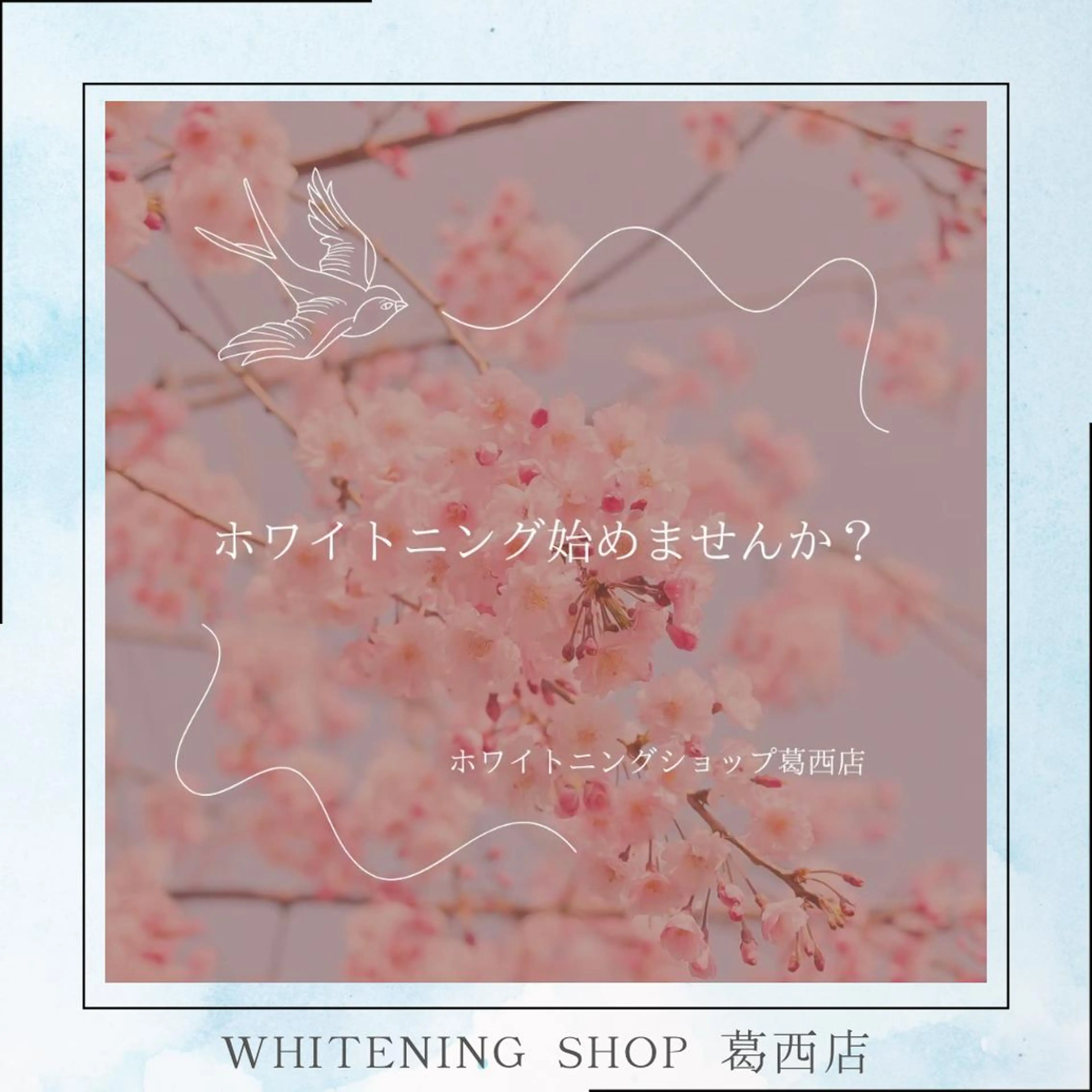 メンズ その他 ホワイトニング ショップ葛西店のその他イメージ