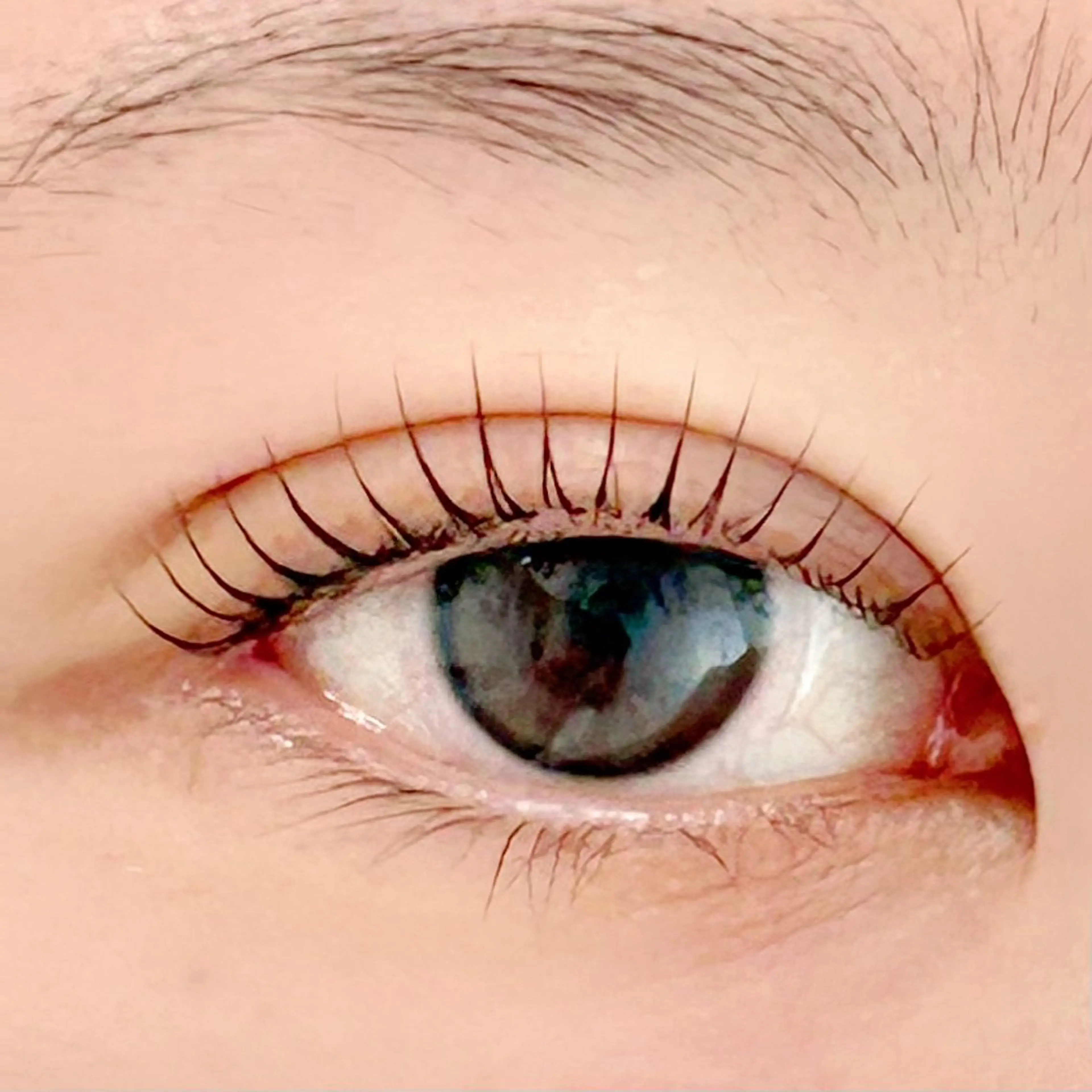 マツエク・マツパ 一重×まつ毛パーマ BellFlower Aki(眉・まつげ)のマツエク・マツパデザイン