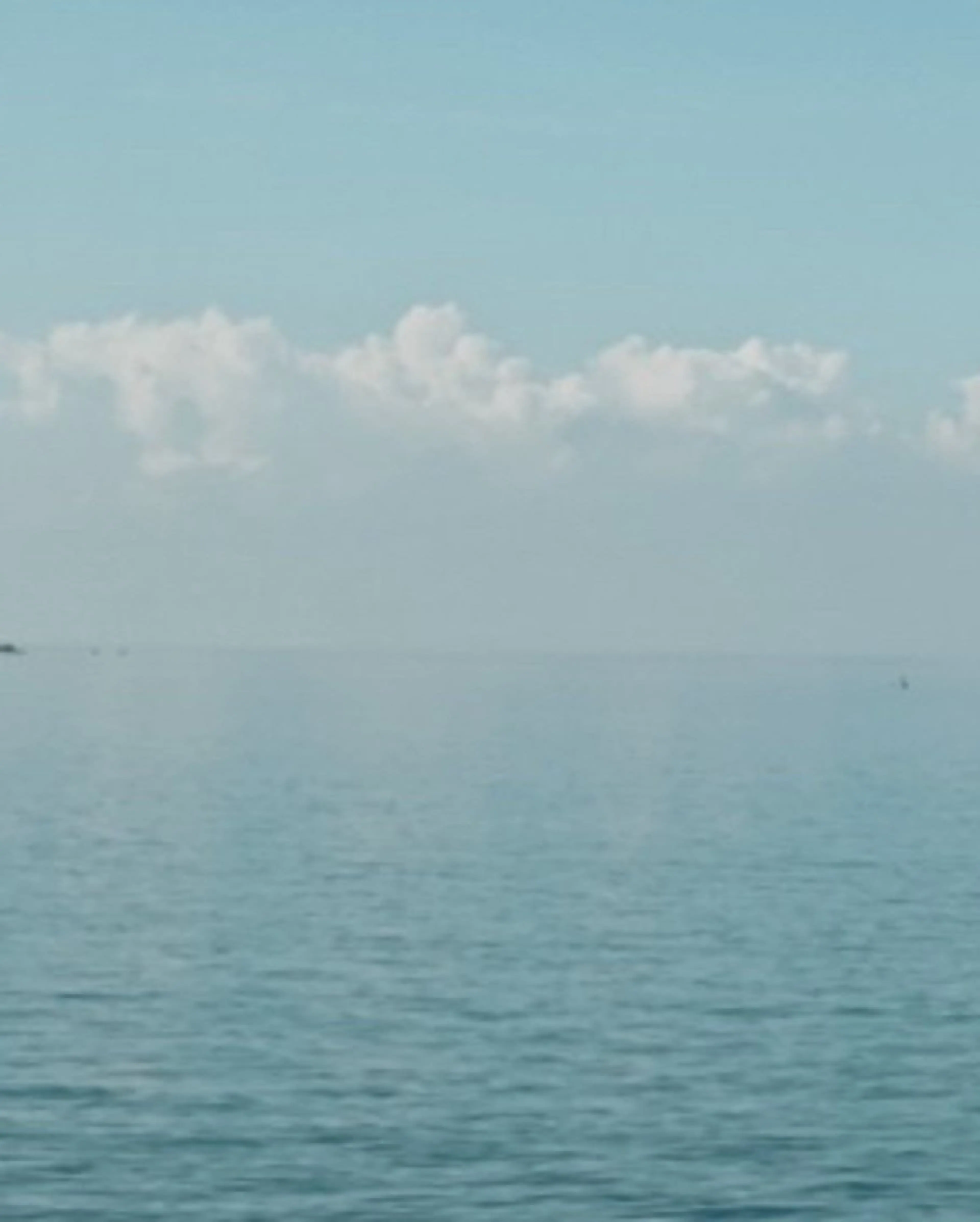 ブラジリアン☆WAX 🎖🌚YUKI🌚のエステ・リラクイメージ