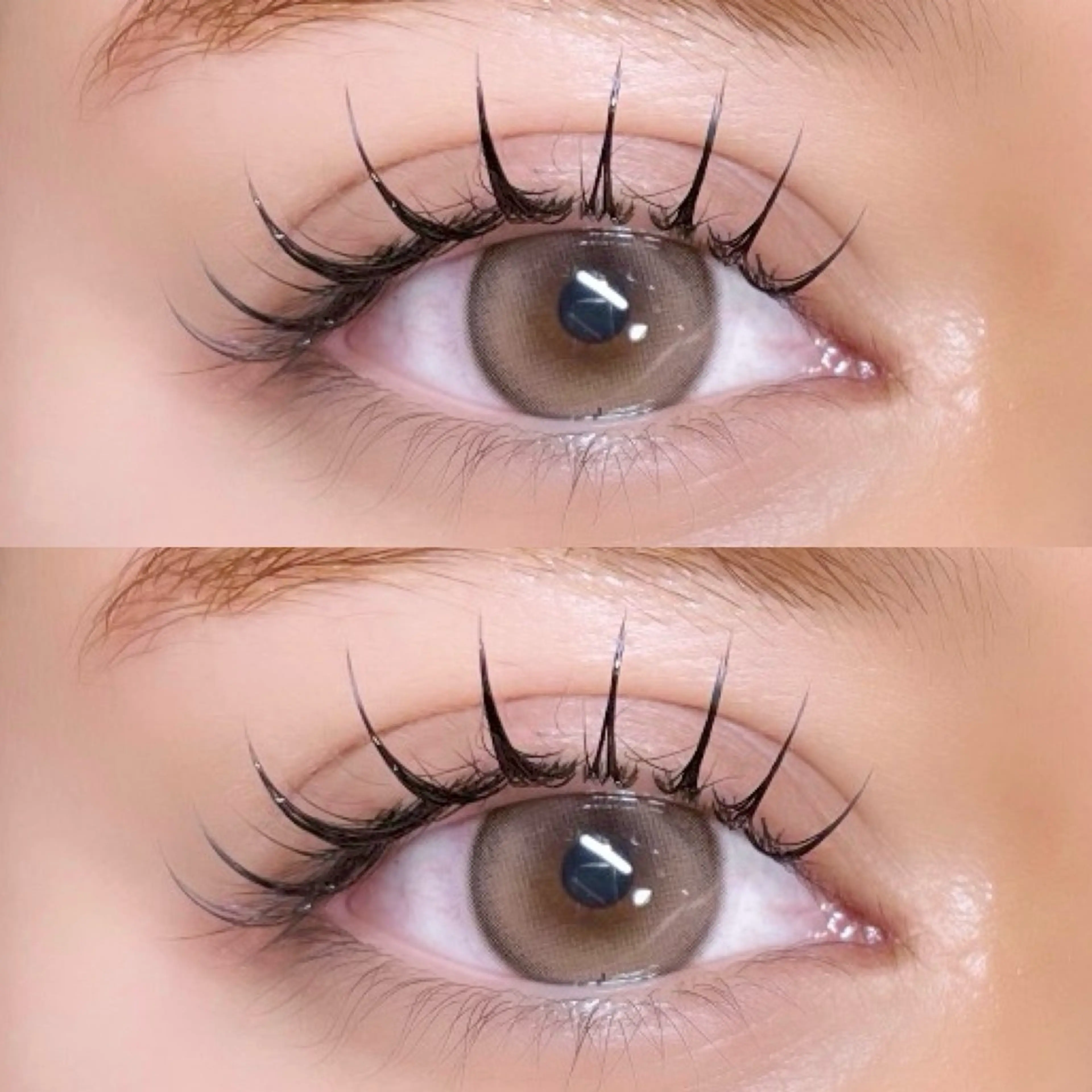 🪽フラットラッシュ100本まで※オフ別🪽の写真