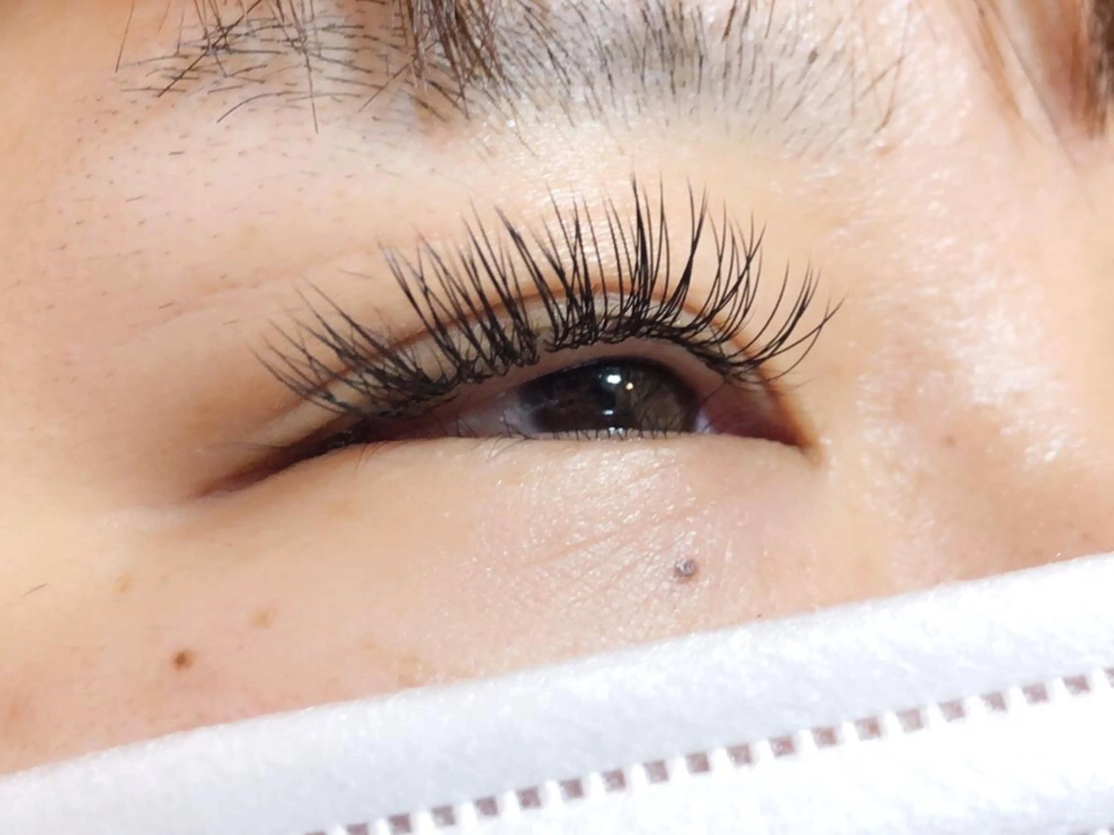 マツエク・マツパ 付け放題 フラットラッシュ Hair salon F所属・Ohtani Yukimiのマツエク・マツパデザイン