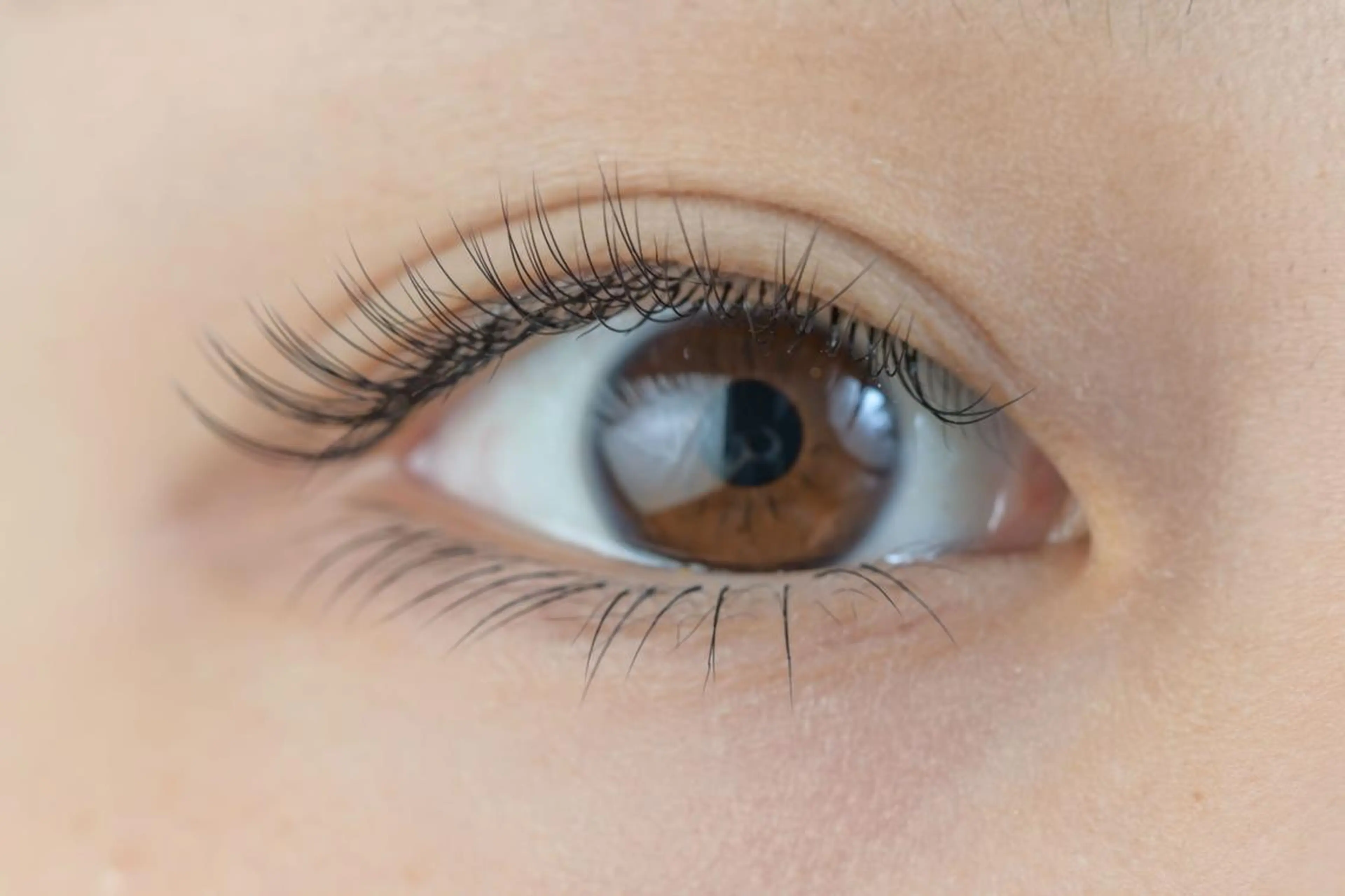 マツエク・マツパ セーブル アイサロン フェア 海老名店のマツエク・マツパデザイン