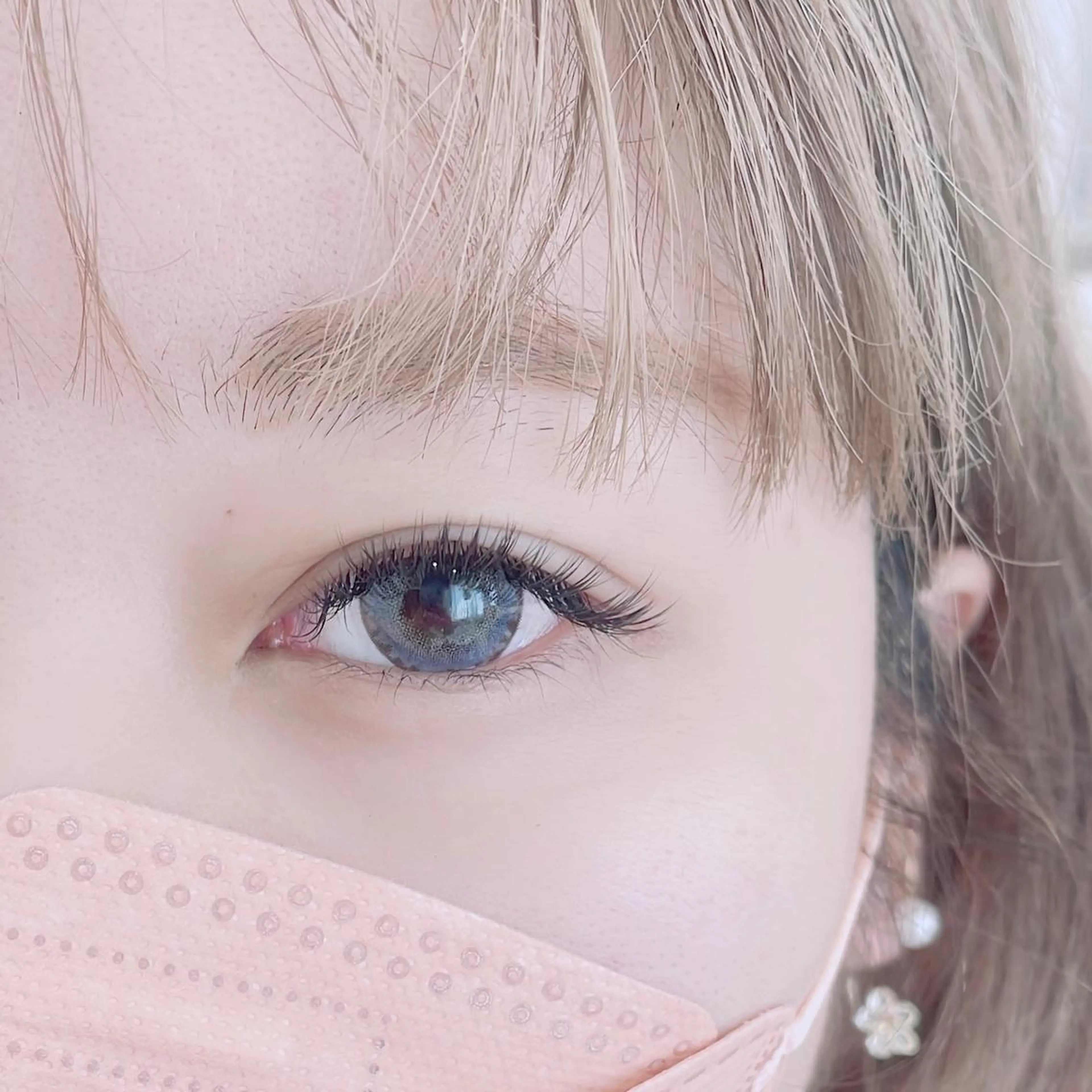 オフ無料🐨バインドロック/Wフラットラッシュ200本(100束)🤎の写真