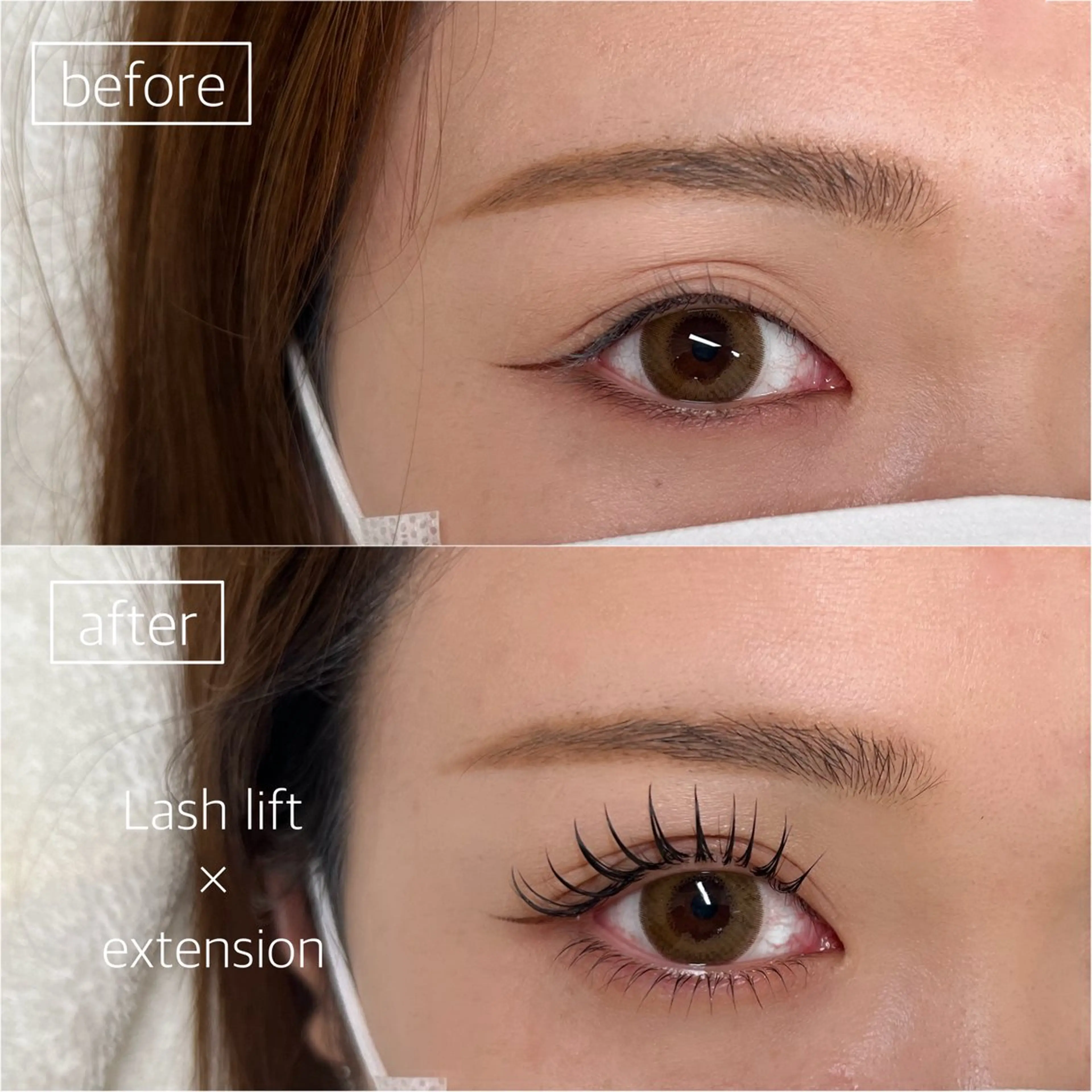 パリエク 100本の写真