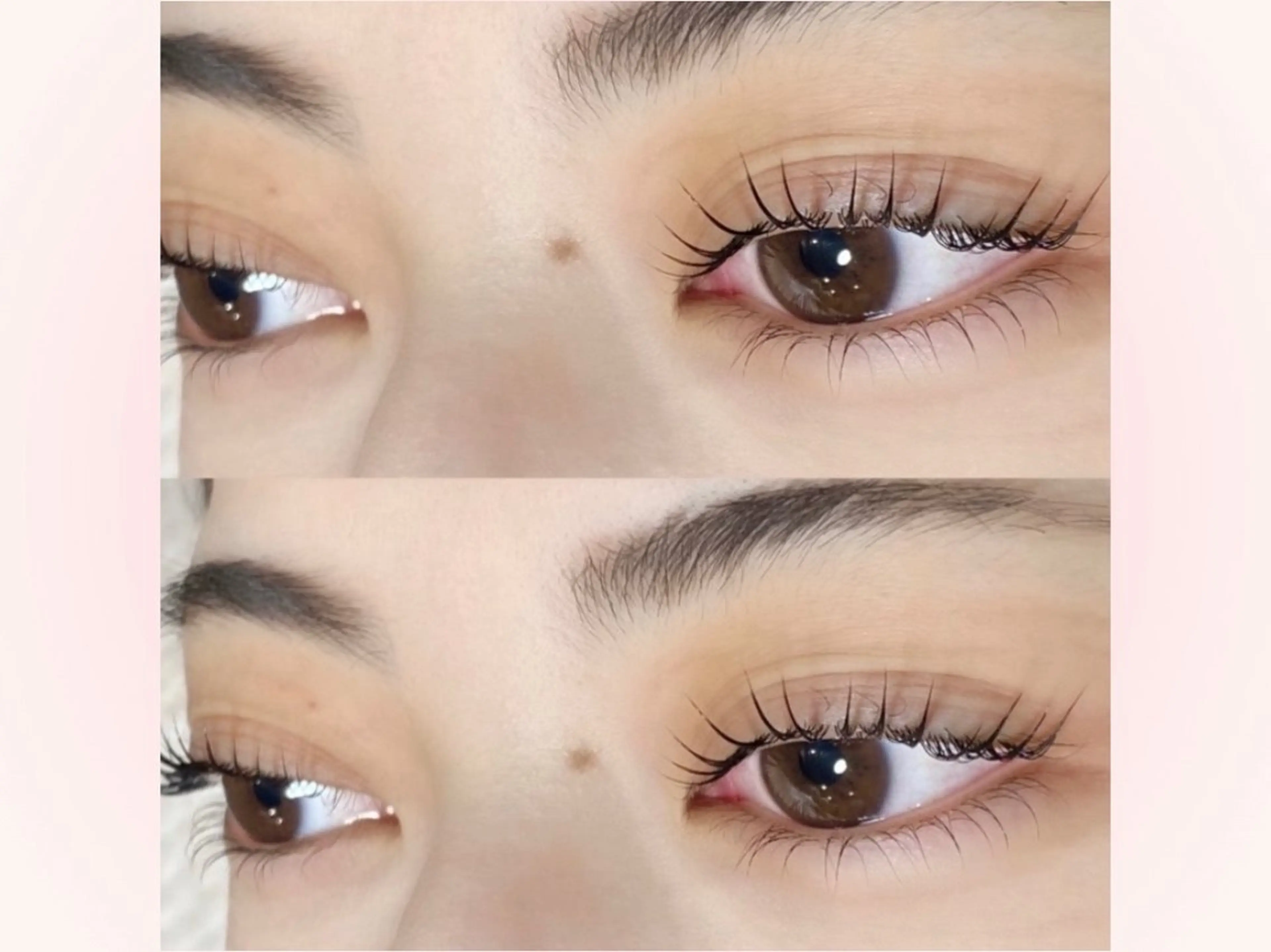 マツエク・マツパ パリジェンヌラッシュリフト 下まつげエクステ マツパ Pupu lash(ププラッシュ)所属・🐶Pupu lash🐶のマツエク・マツパデザイン