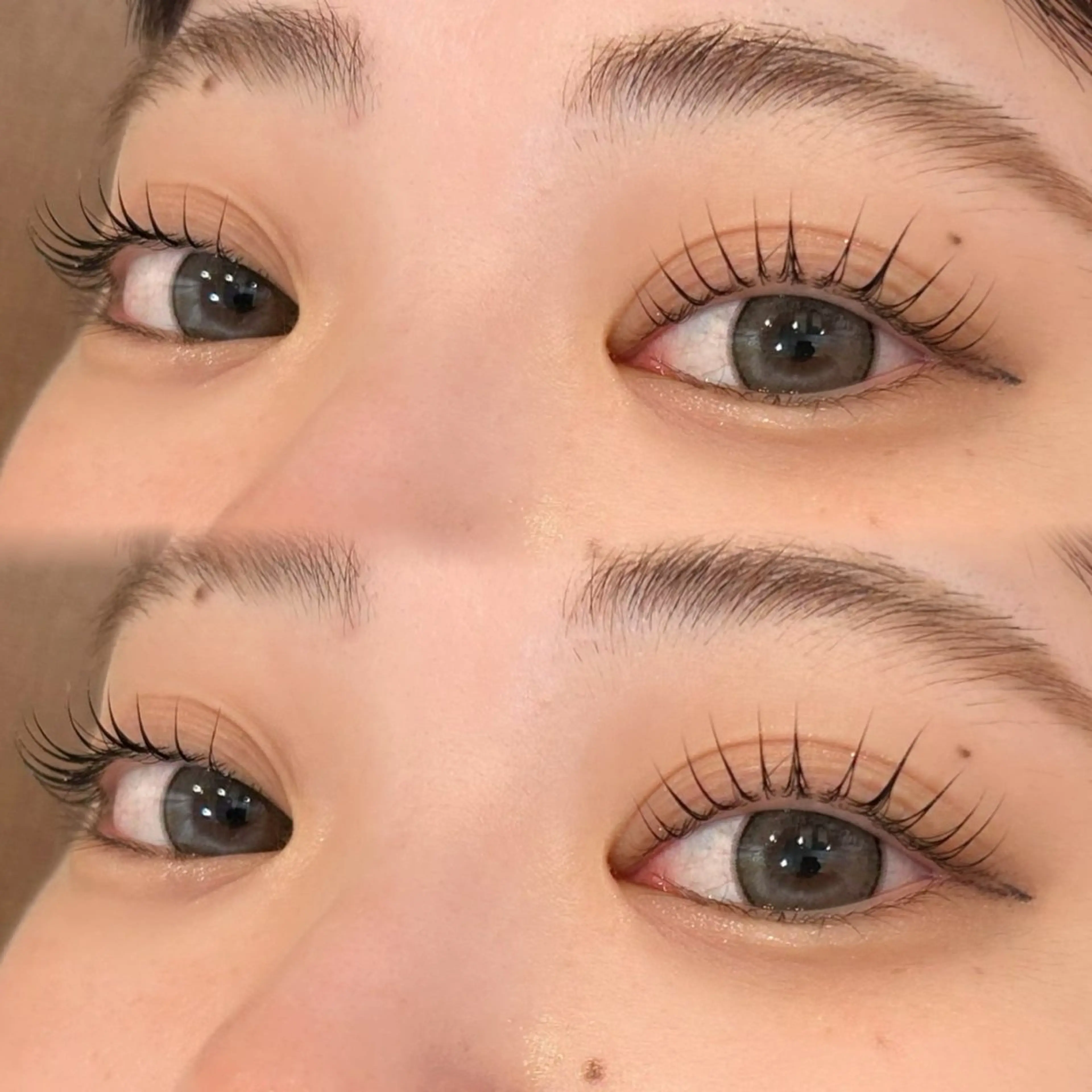 【セットメニュー🉐】パッチリ束感まつ毛パーマ👀✨️＋トリートメント🪞の写真