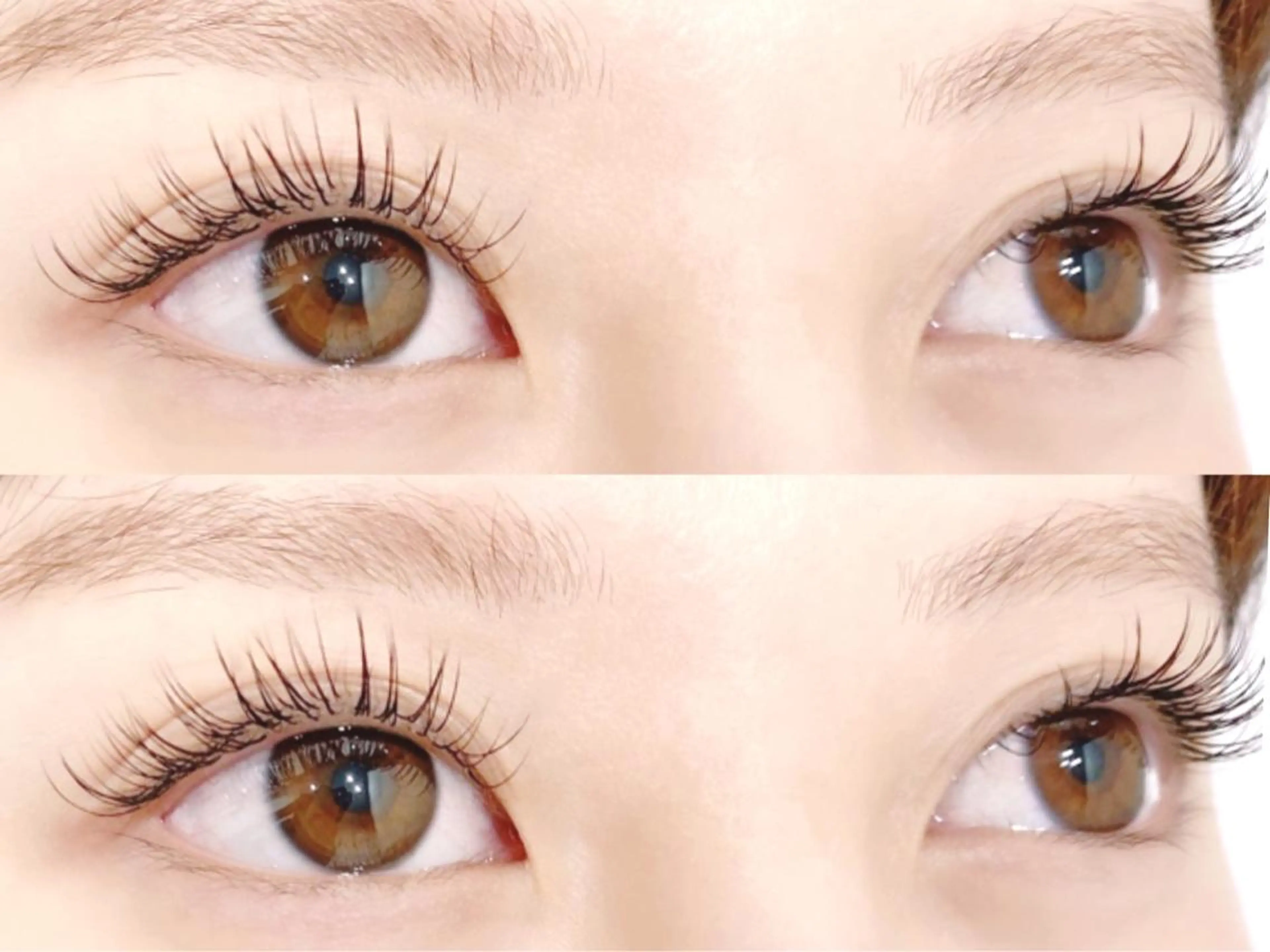 マツエク・マツパ Hera 👀アイラッシュのマツエク・マツパデザイン