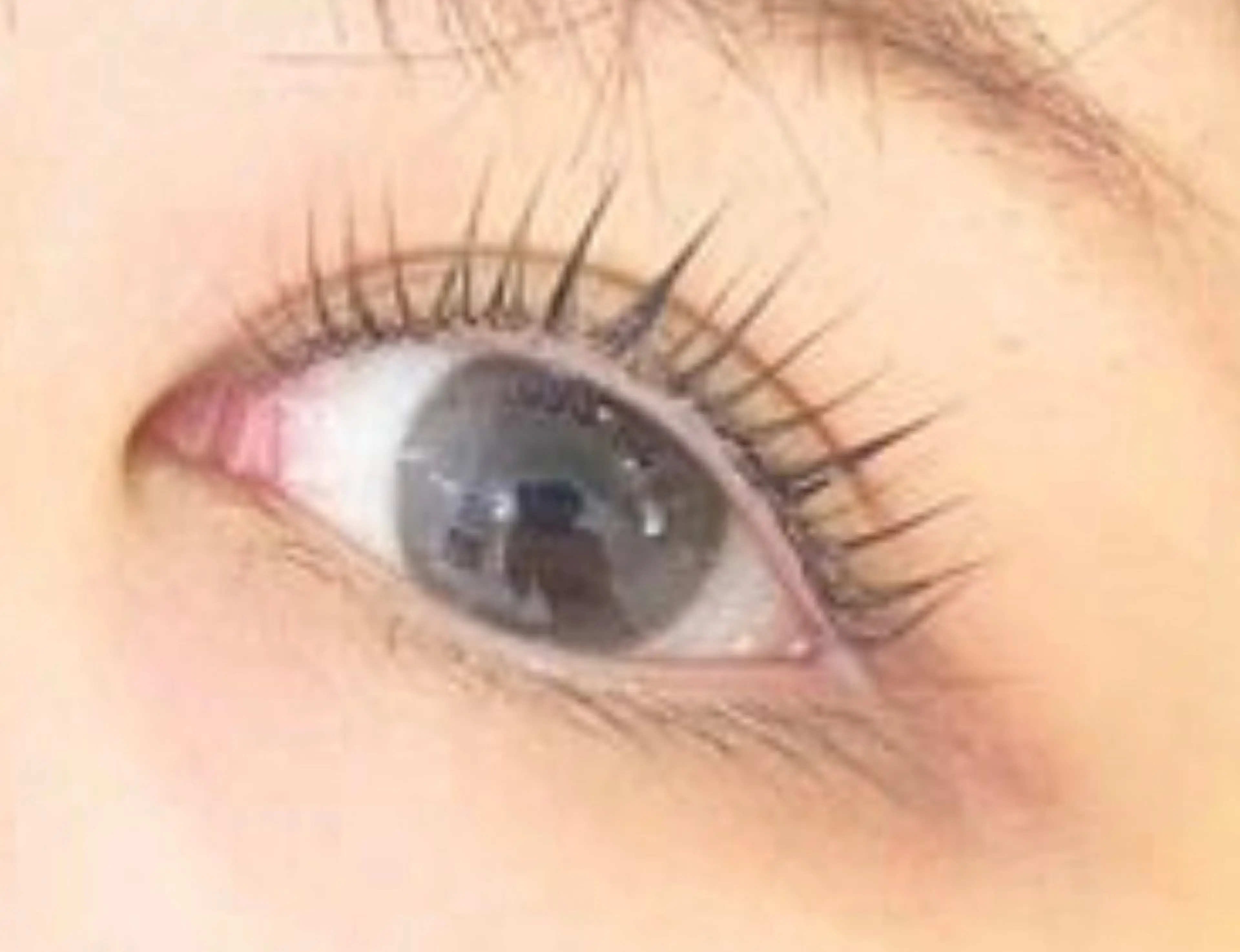 【40歳以上の女性限定‼️】次世代✨ビューラー式まつ毛パーマ👀※対象年齢外の方は正規料金でのご案内になります。の写真