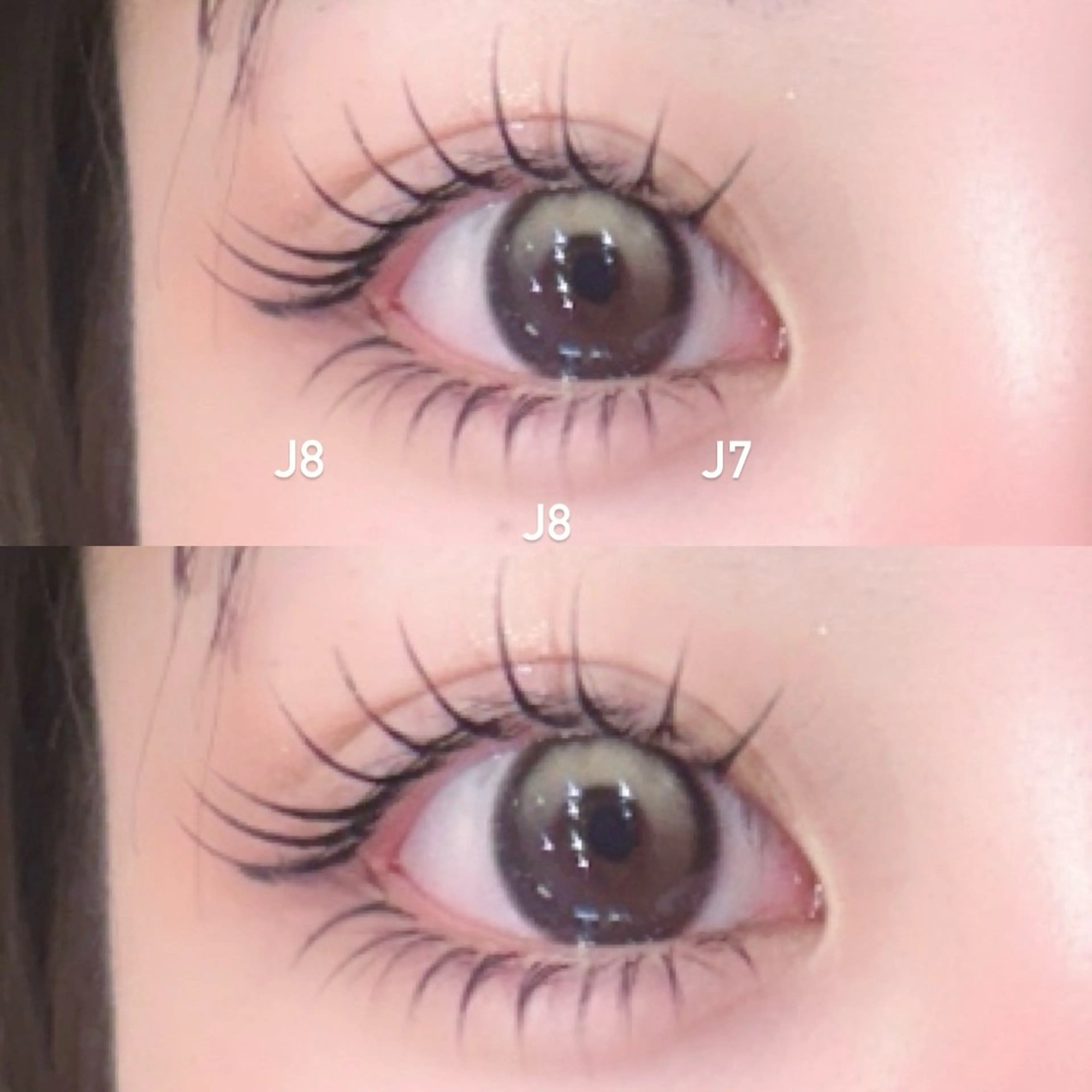 🦙下エクステ40本まで🦙の写真