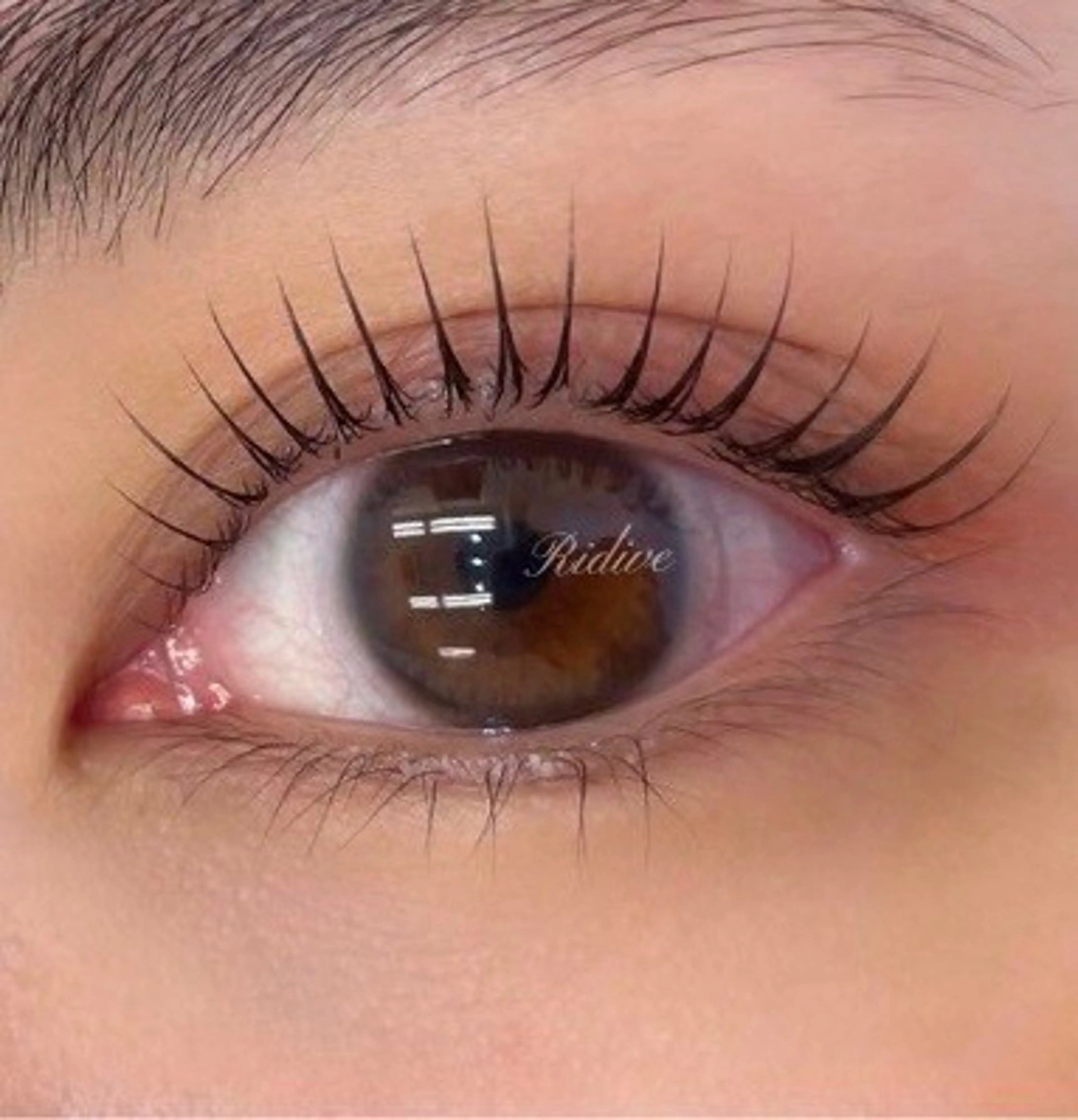 パーマ アイブロウサロンRidive武蔵小杉所属・Ridive Endo🍙の眉毛・アイブロウイメージ
