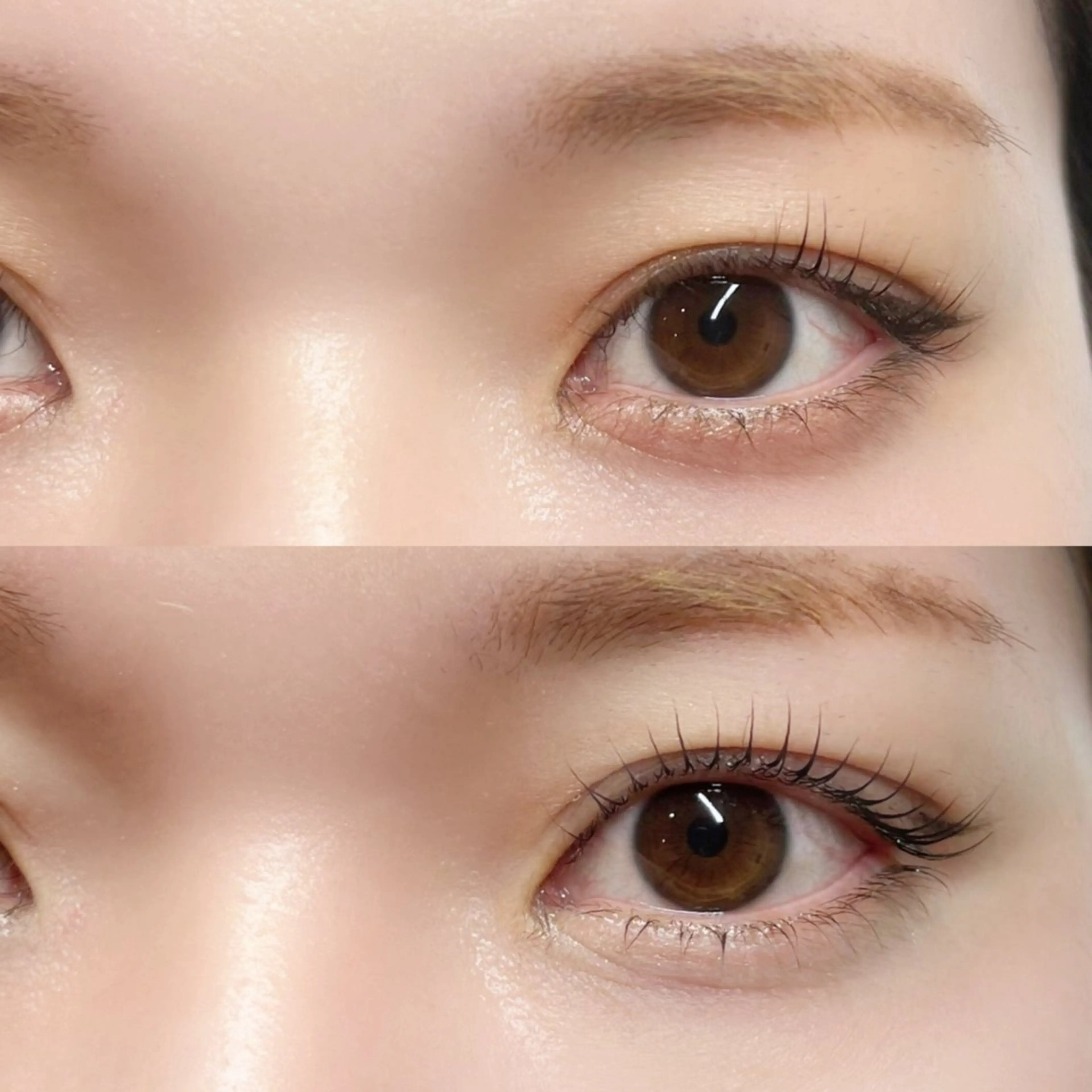 マツエク・マツパ マツパ 恵比寿駅4分🩶 垢抜け眉&まつ毛🫧の眉毛・アイブロウイメージ