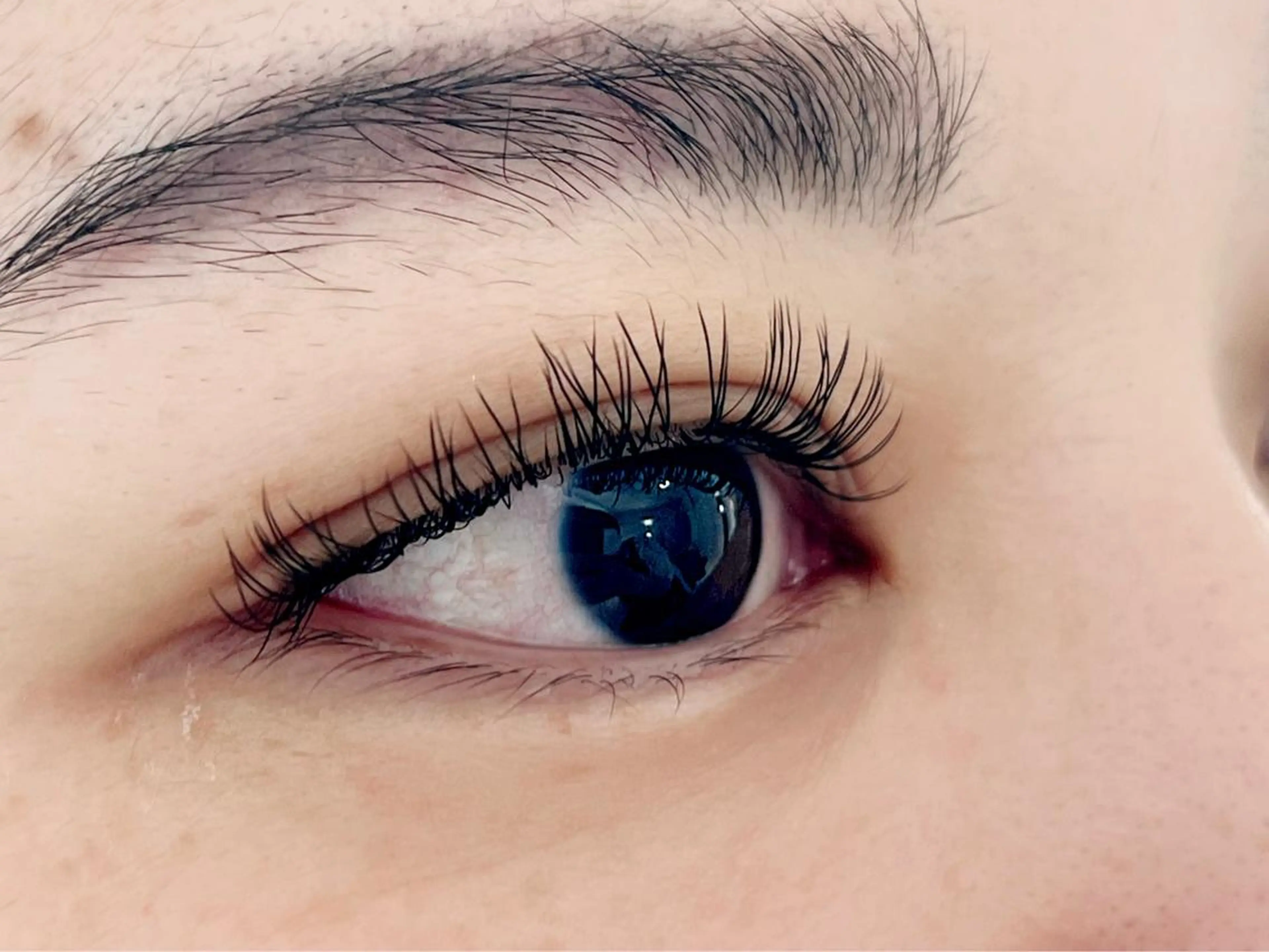 マツエク・マツパ Eye'llbe lash《アイビーラッシュ》所属・Eye'llbe lashのその他イメージ