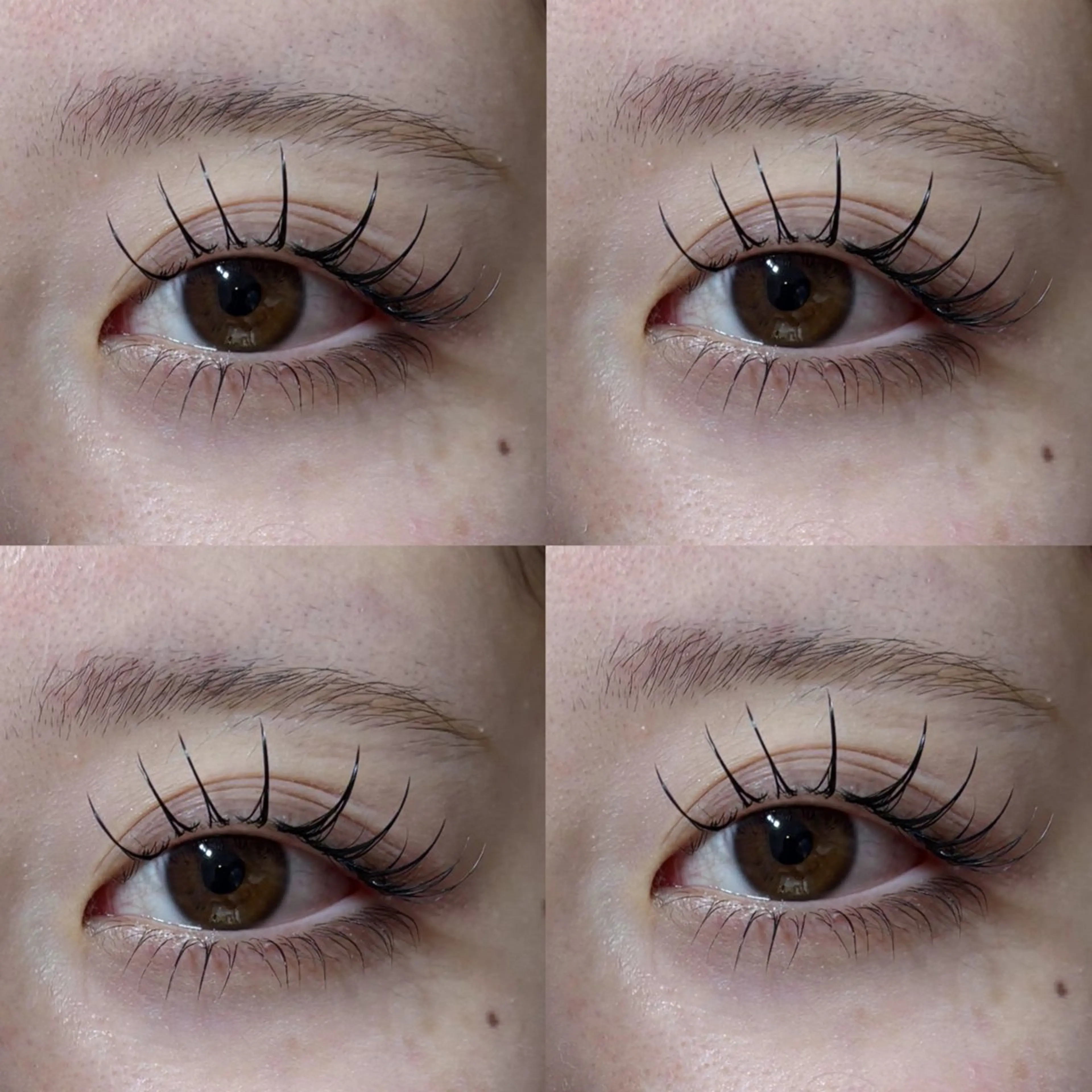 マツエク・マツパ マツエク 🎀束感マツエク 新留 美空🎀のマツエク・マツパデザイン