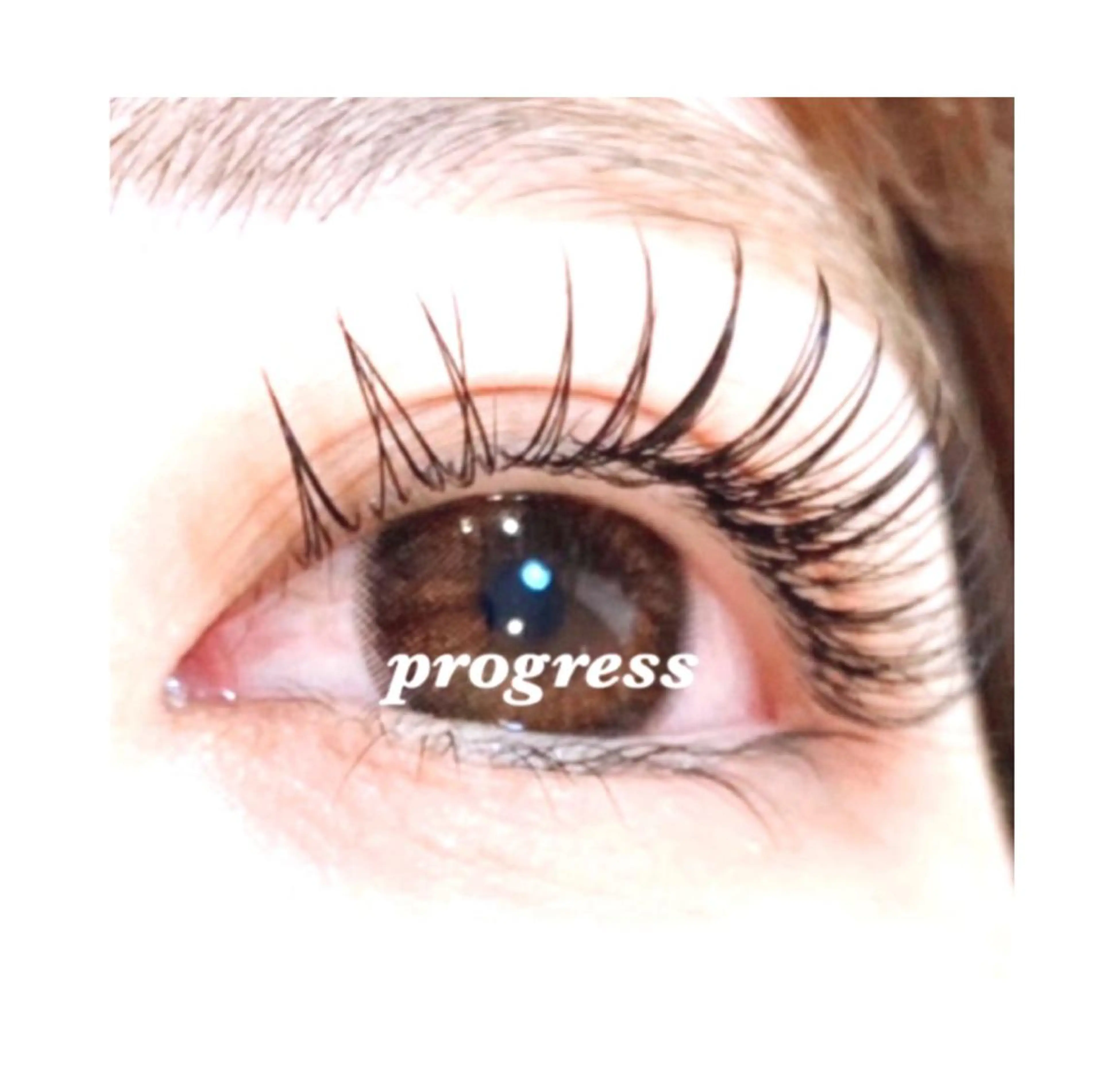 マツエク・マツパ カラーマツエク フラットラッシュ まつげパーマ セーブル 一重×まつ毛パーマ progress つくばのマツエク・マツパデザイン