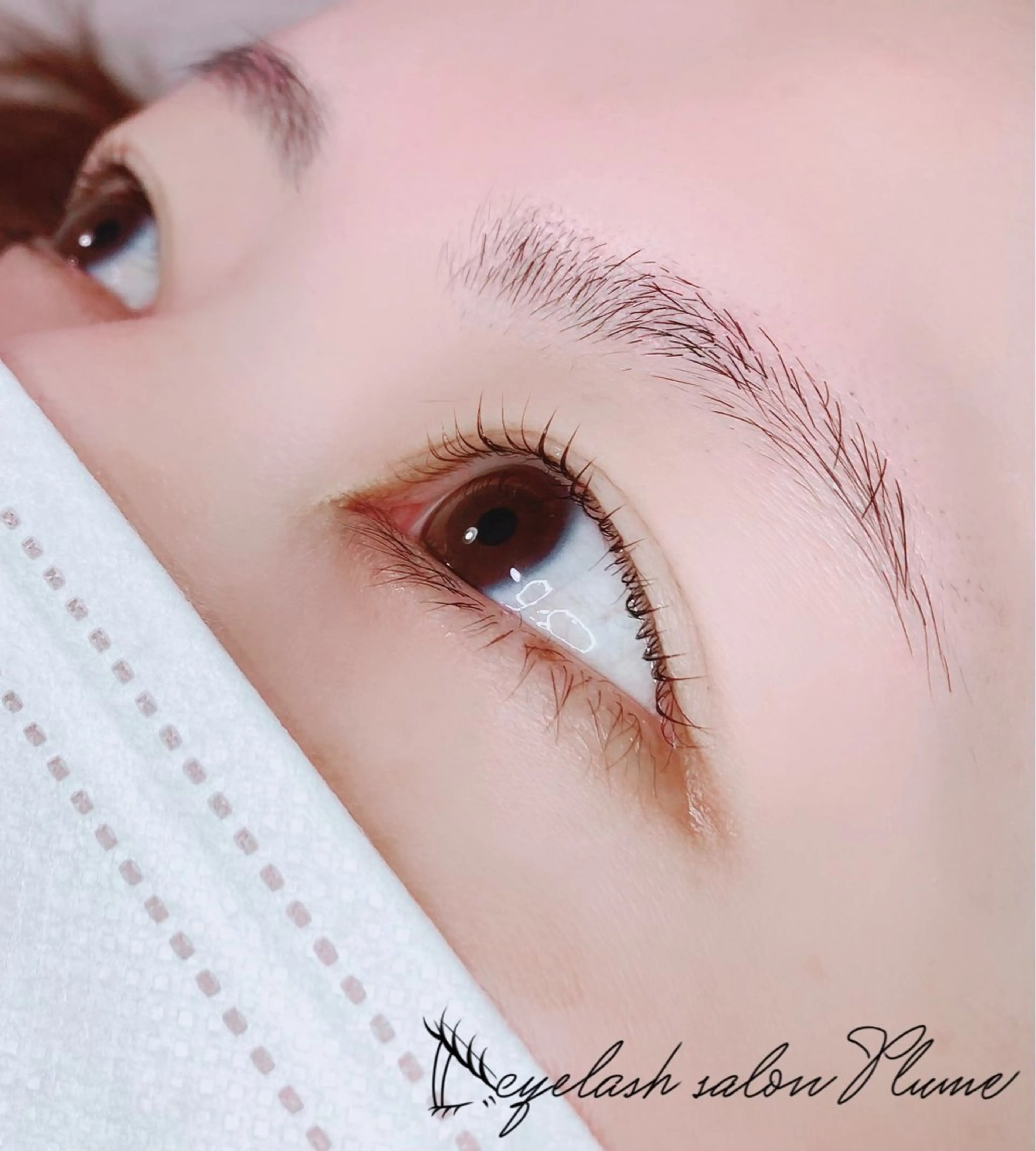 マツエク・マツパ マツパ まつ毛、毛穴ケア 専門サロンPlumeのマツエク・マツパデザイン