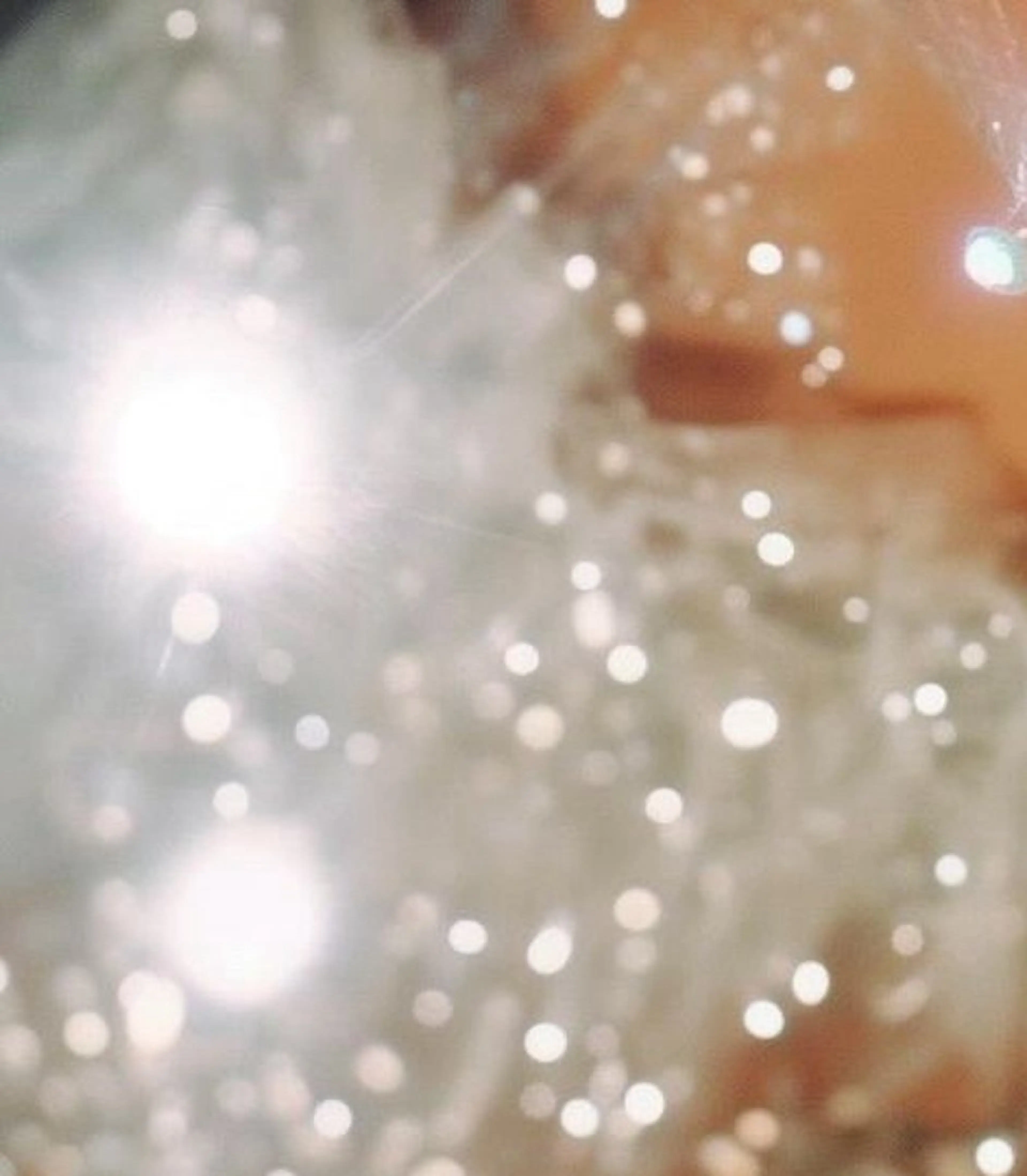 ネイル Private nailsalon  N所属・N nail - KOBE -のネイルデザイン