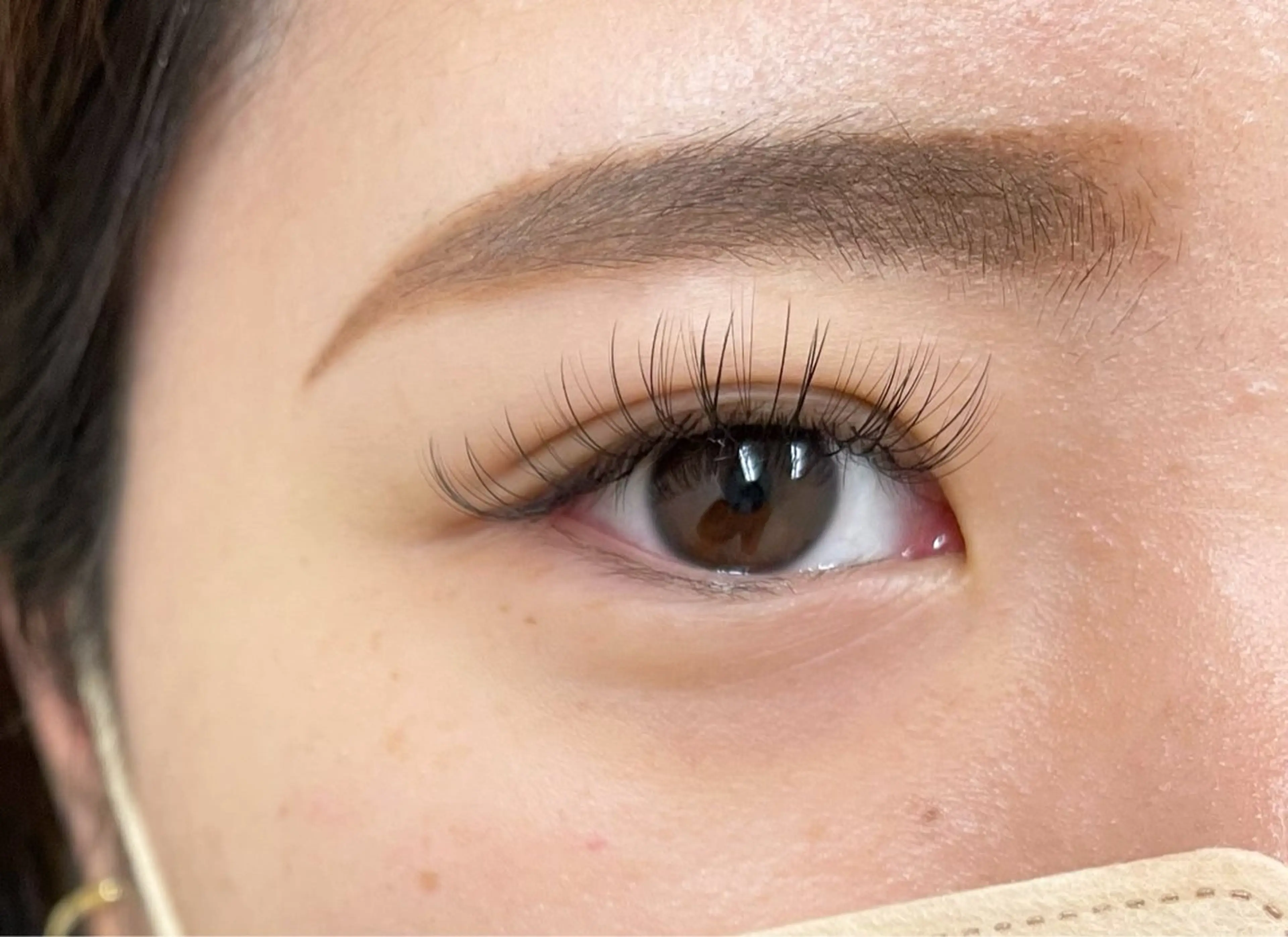 新人スタッフ研修無料クーポン⭐️フラットラッシュ50本（付け足し）の写真