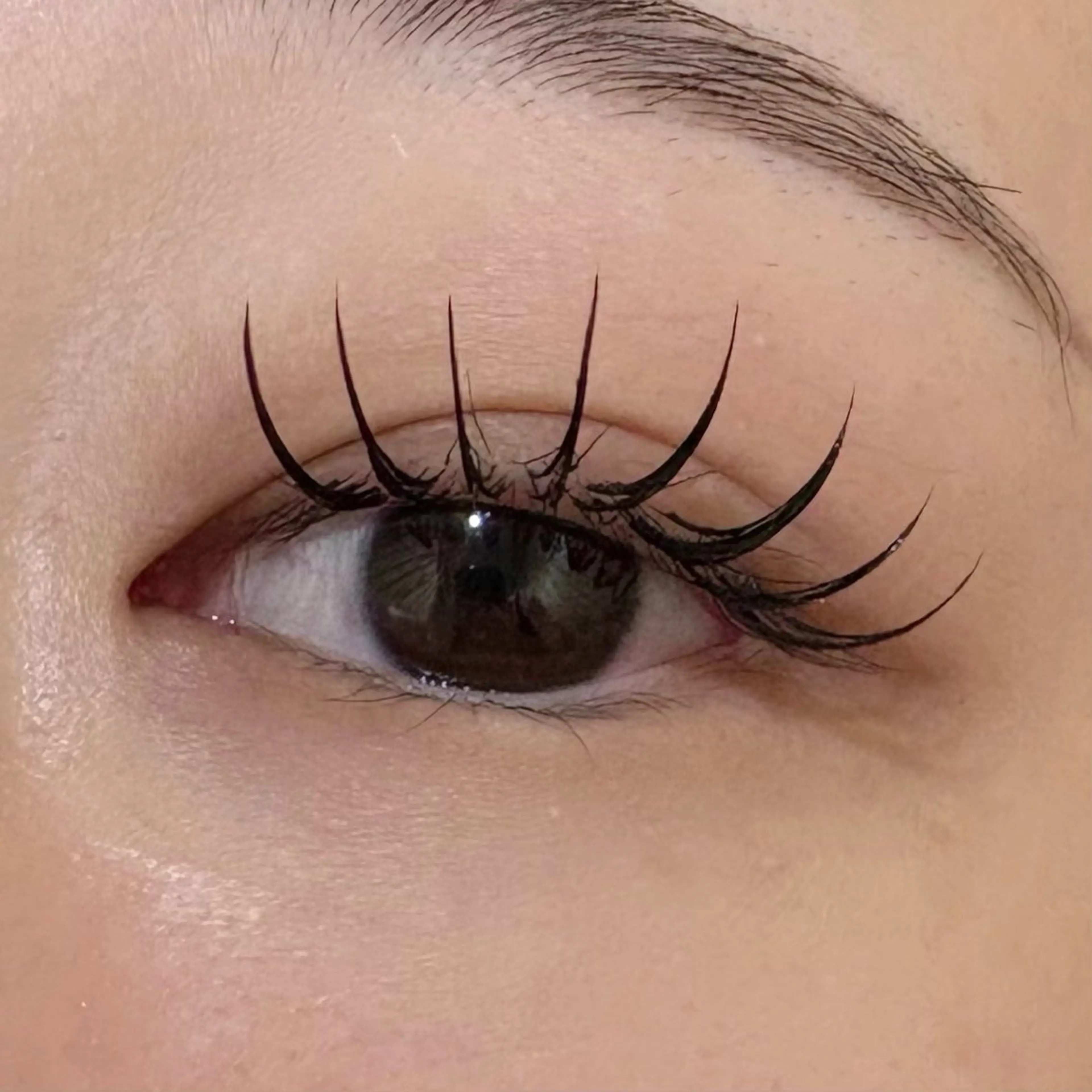 マツエク・マツパ マツエク eight misaki🦋のその他イメージ