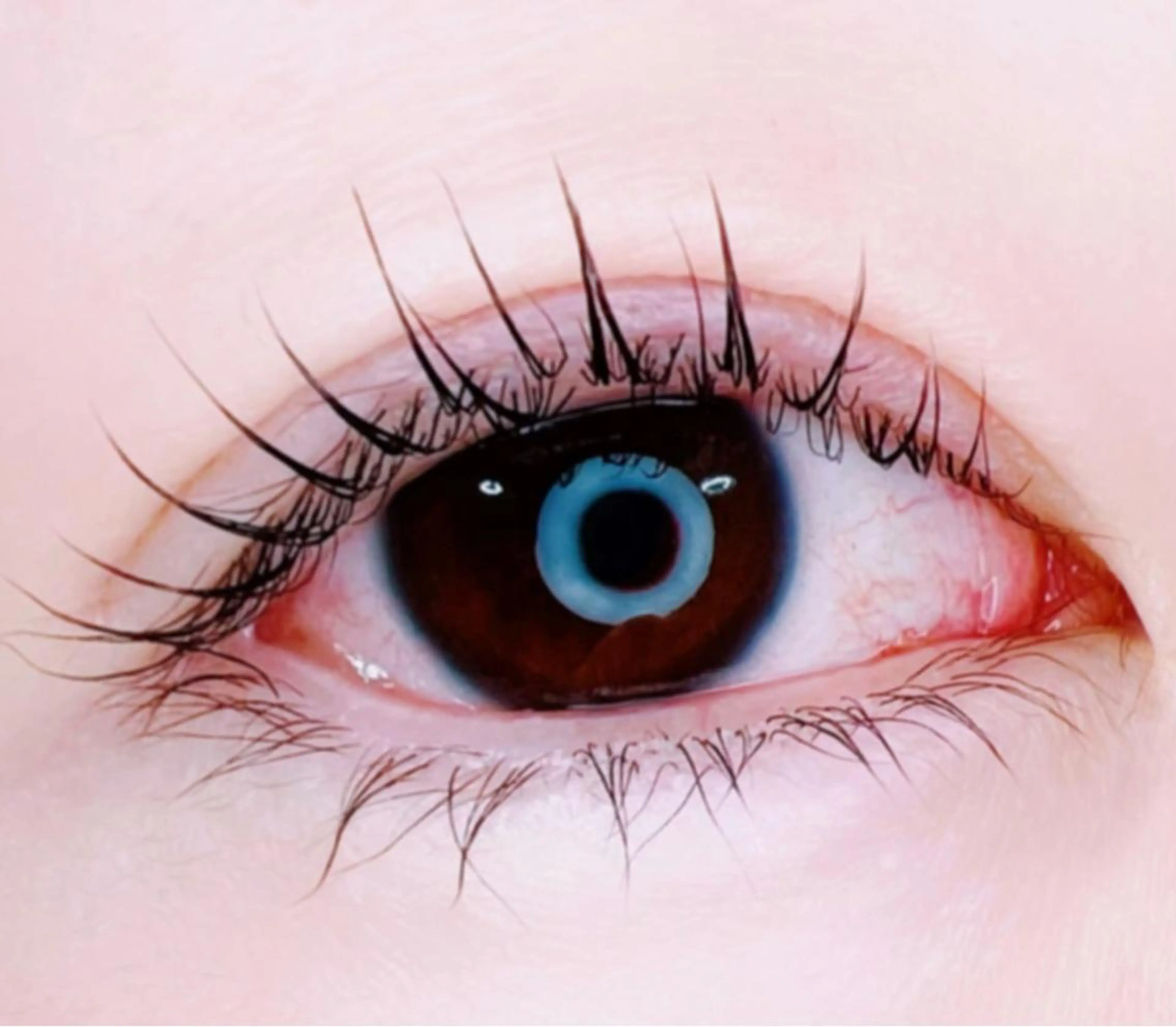 マツエク・マツパ ショコラ所属・まつ毛サロン ショコラのマツエク・マツパデザイン