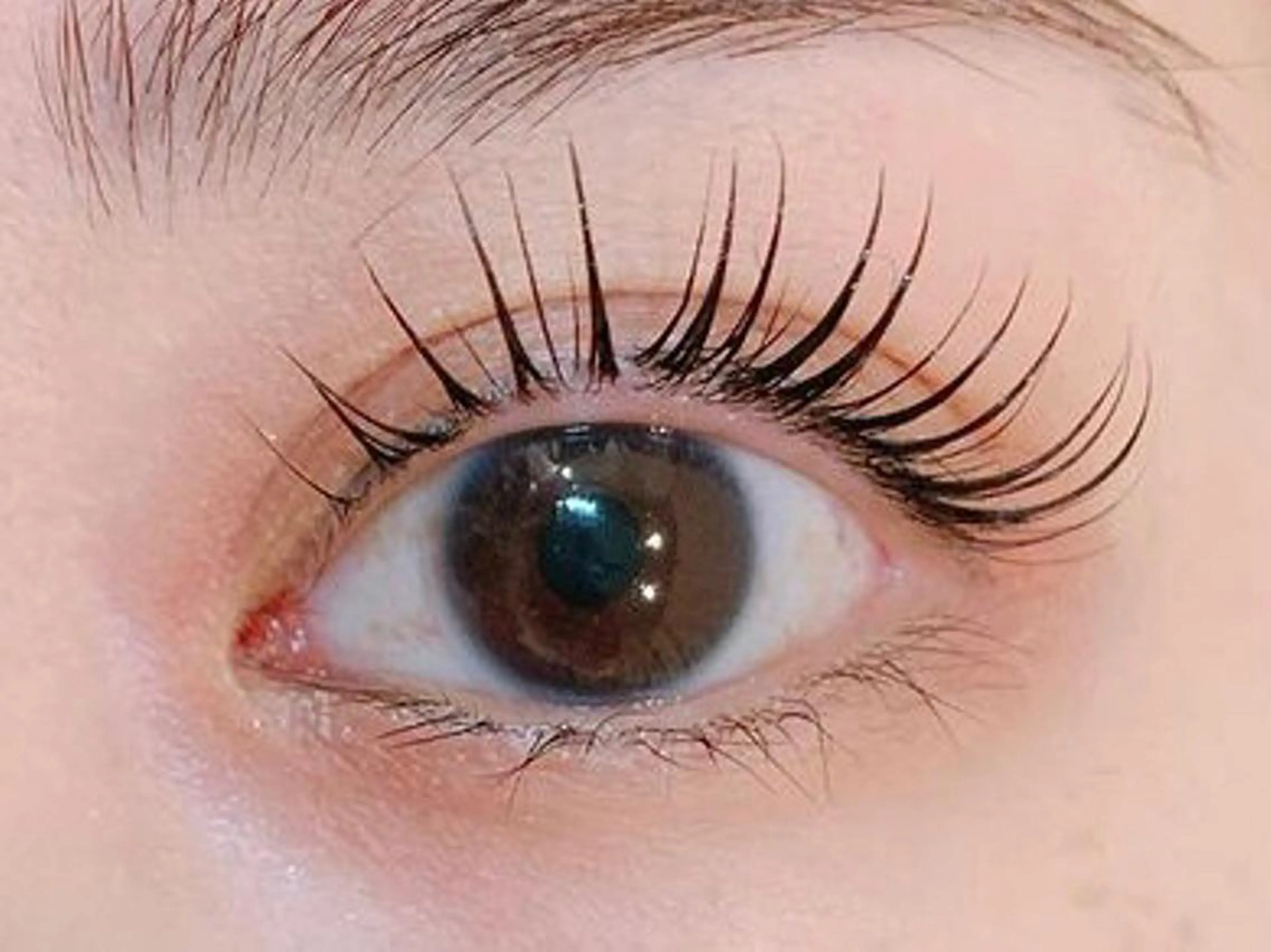 ダブルフラットラッシュ 【120束】➕束感コーティング仕上げの写真