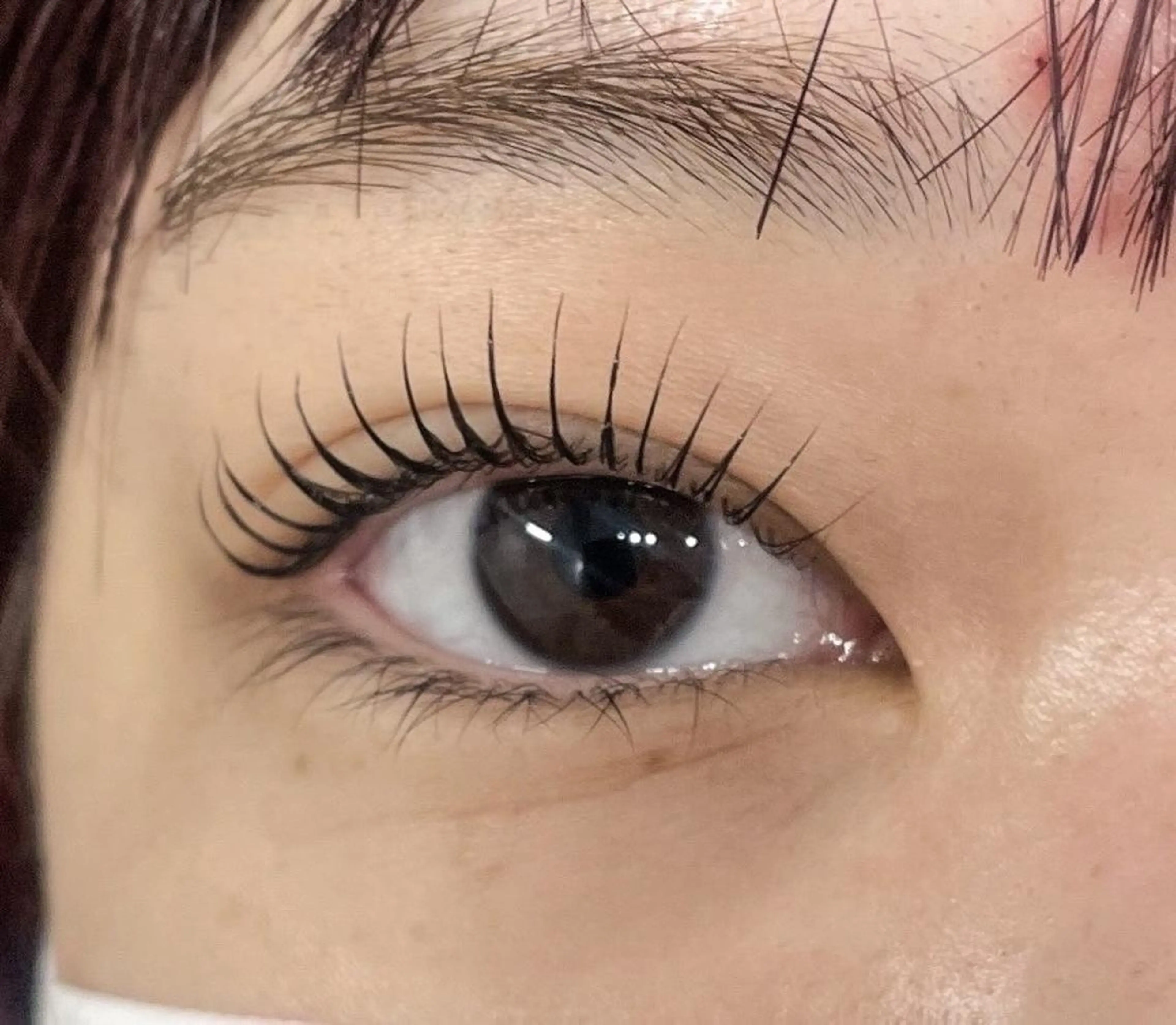 マツエク・マツパ nuit 学芸大学店の眉毛・アイブロウイメージ