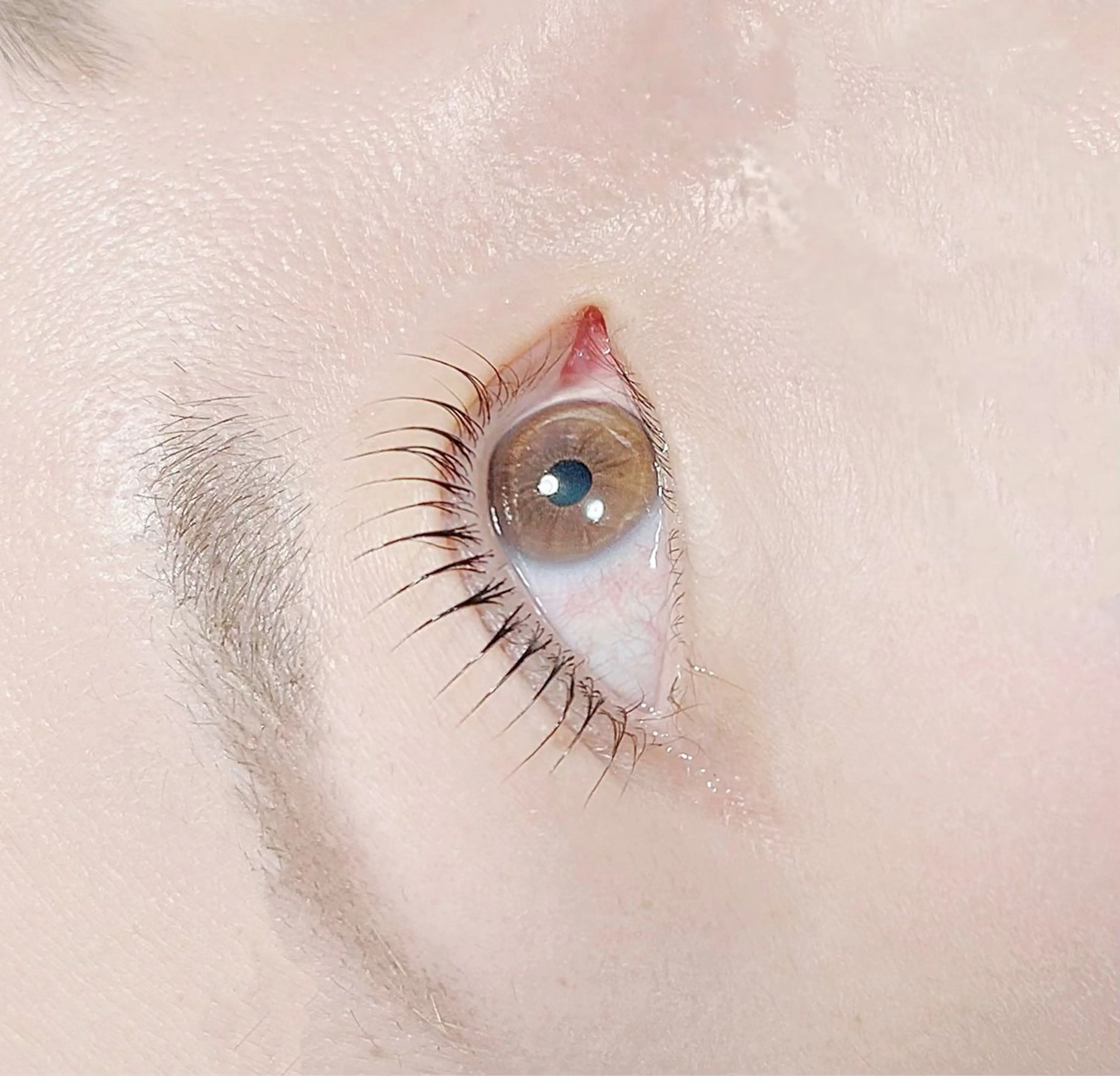 マツエク・マツパ A' moのマツエク・マツパデザイン