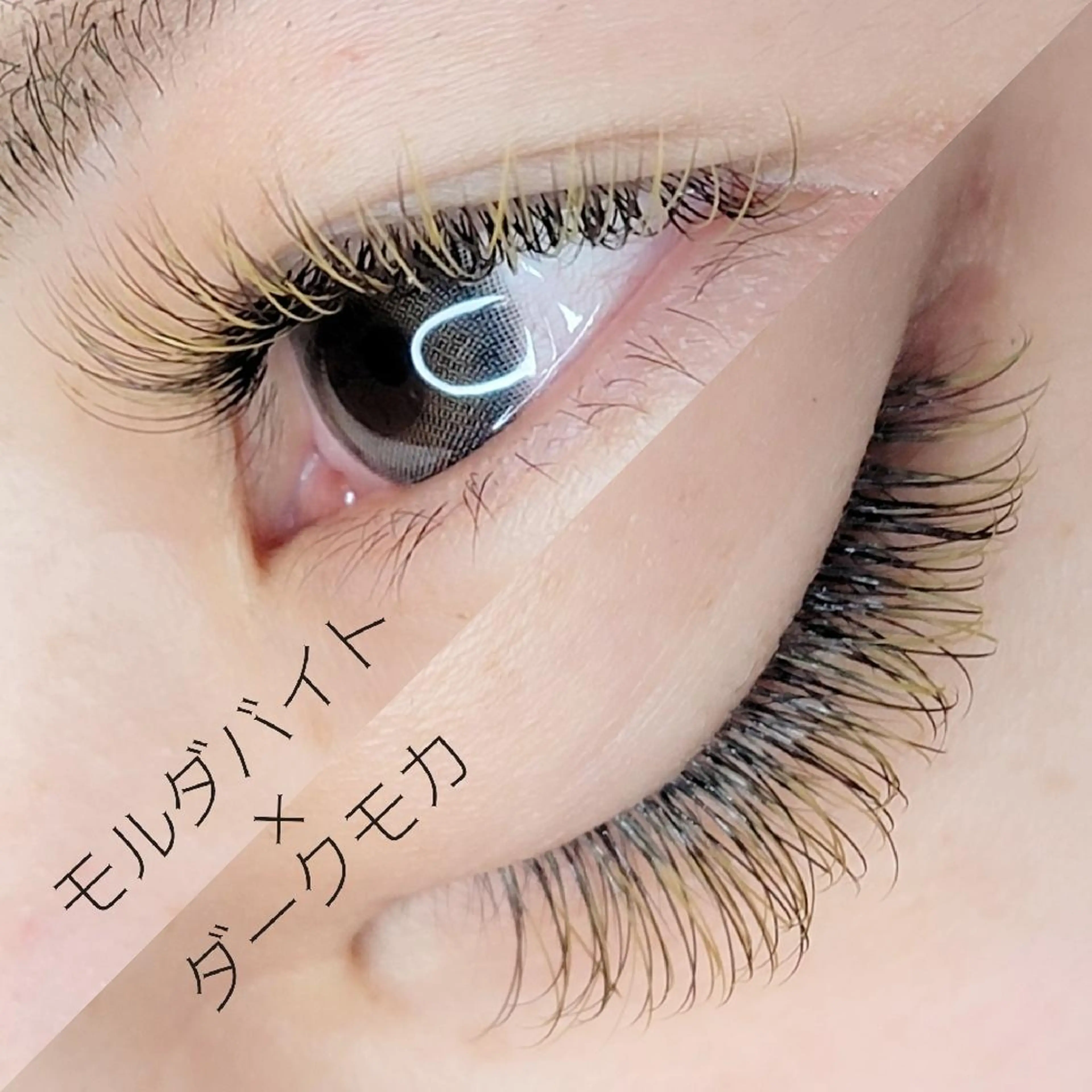 マツエク・マツパ フラットラッシュ アップワードラッシュ 長持ちまつエク&まつ 毛パーマ🌸Mariのマツエク・マツパデザイン