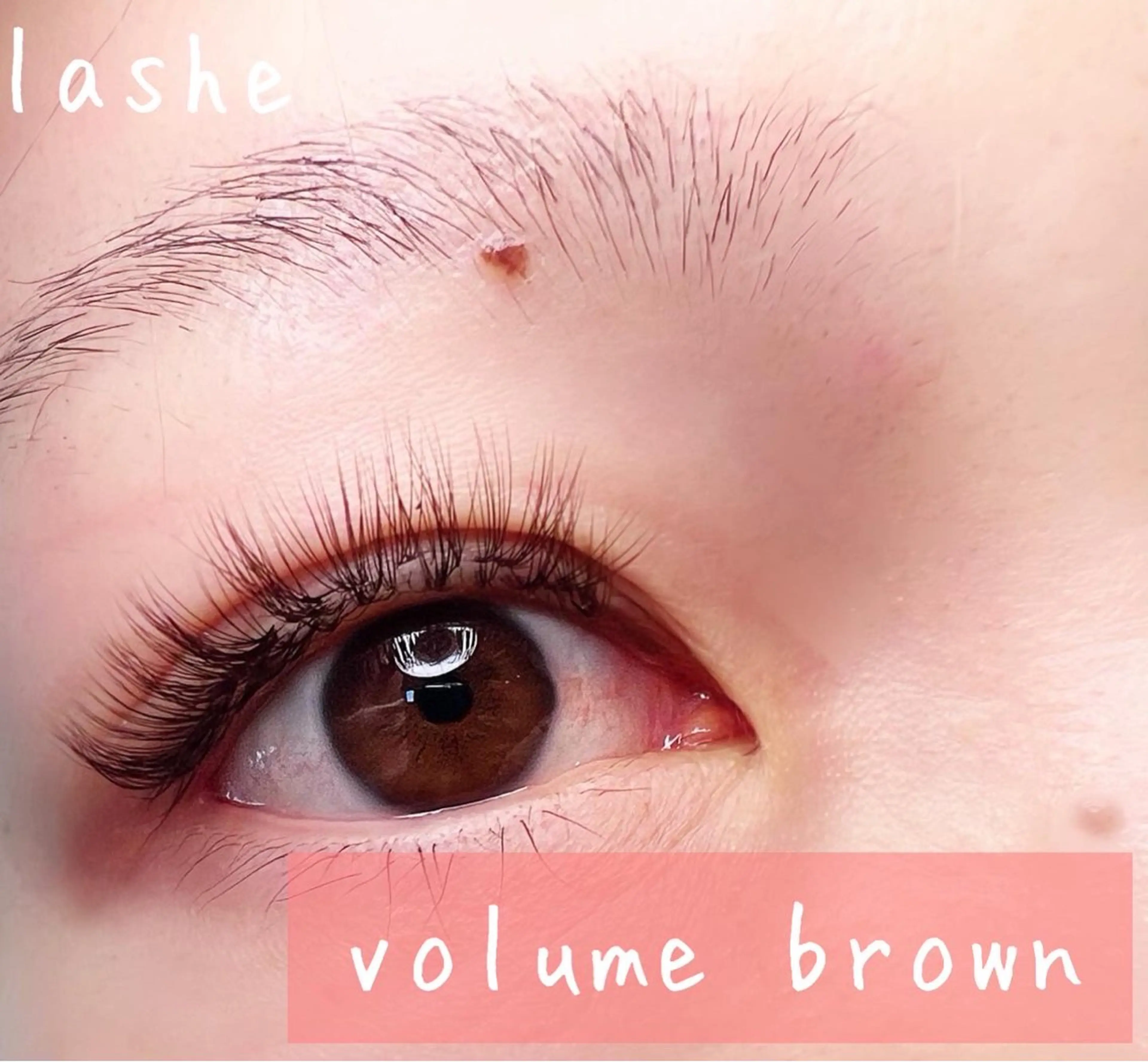 マツエク・マツパ マツエク K&E lashe /大垣　まつ毛、眉毛のマツエク・マツパデザイン