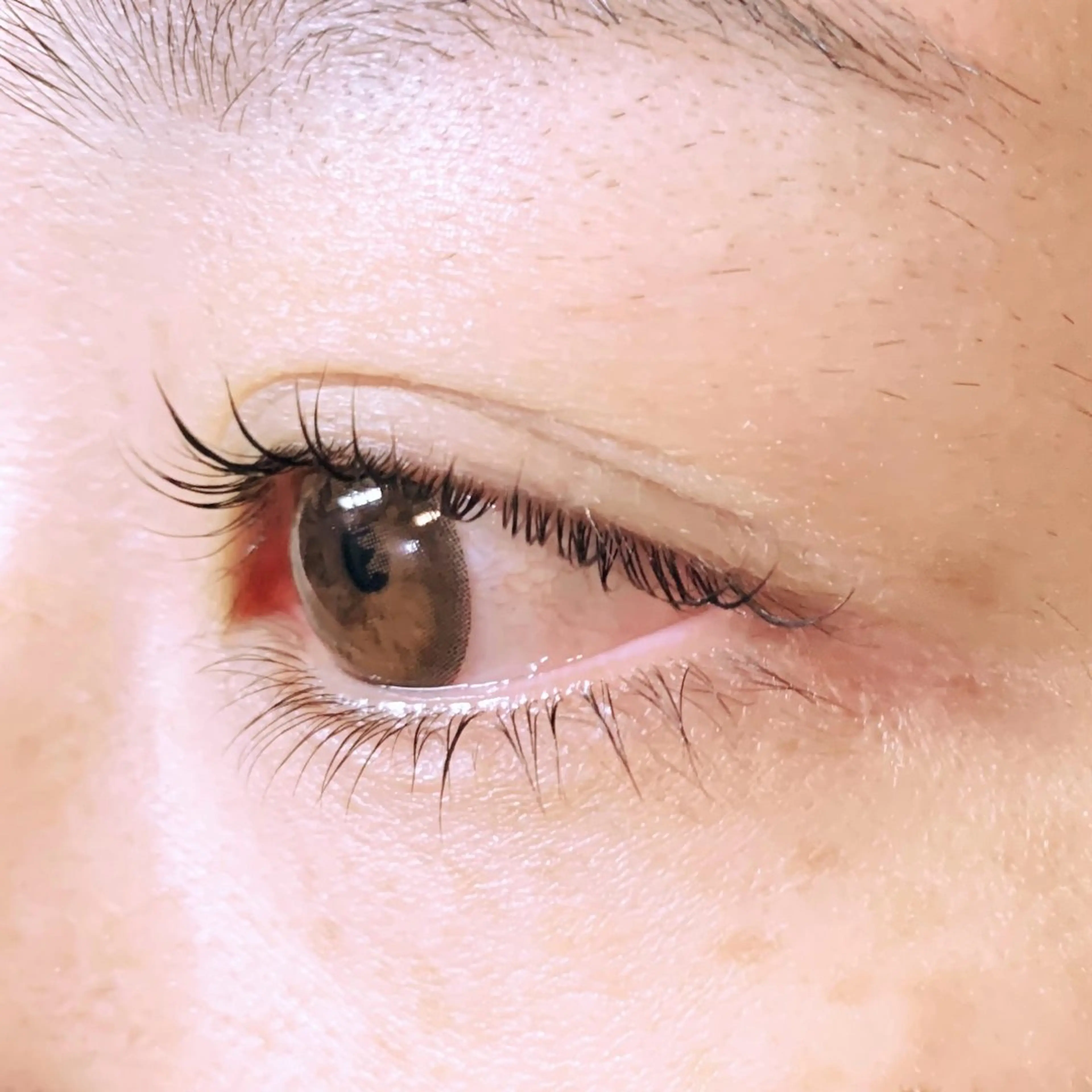 【上下まつ毛パーマ】🌟ご新規様の写真