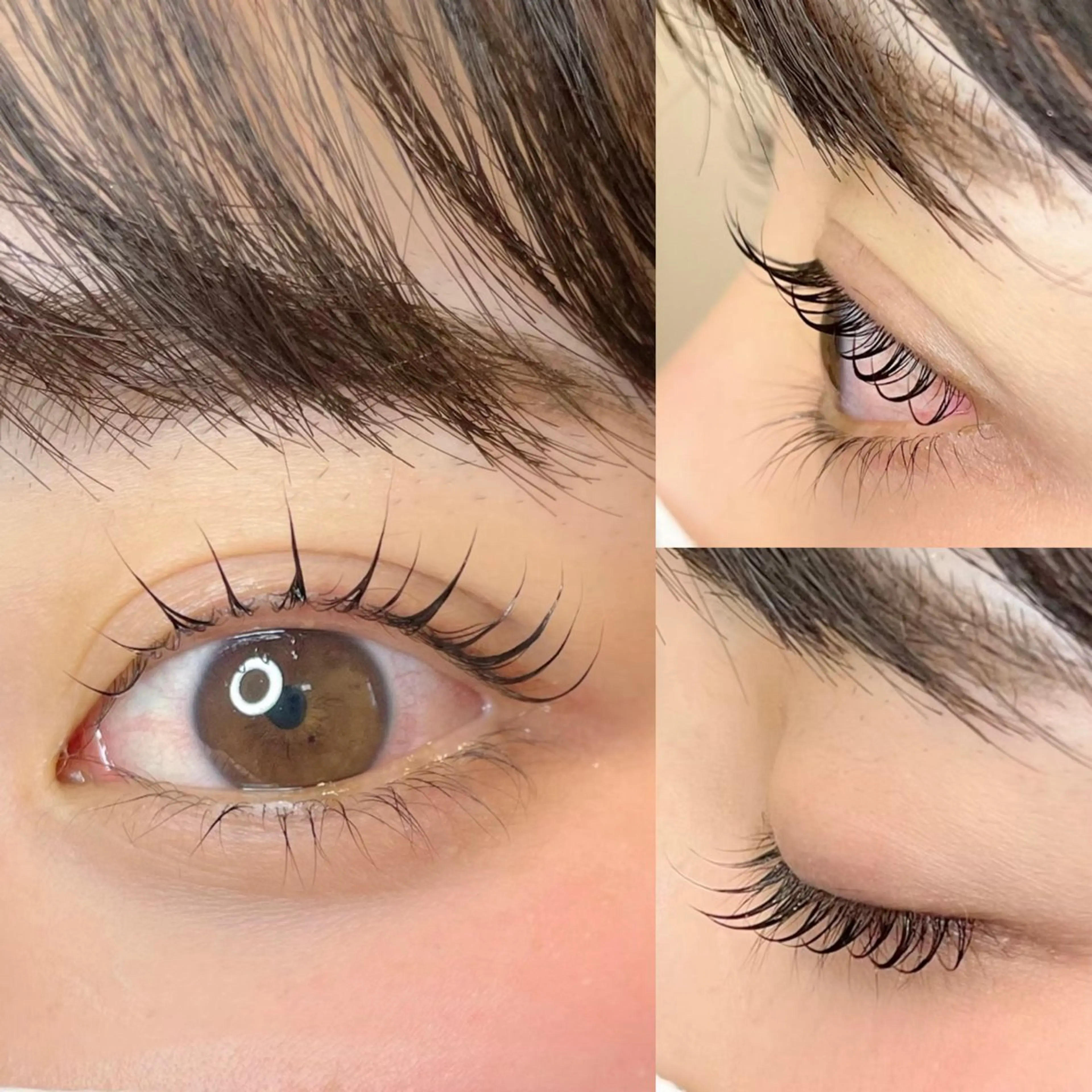 ダメージレス似合わせまつ毛パーマ✨コーティング束感仕上げの写真