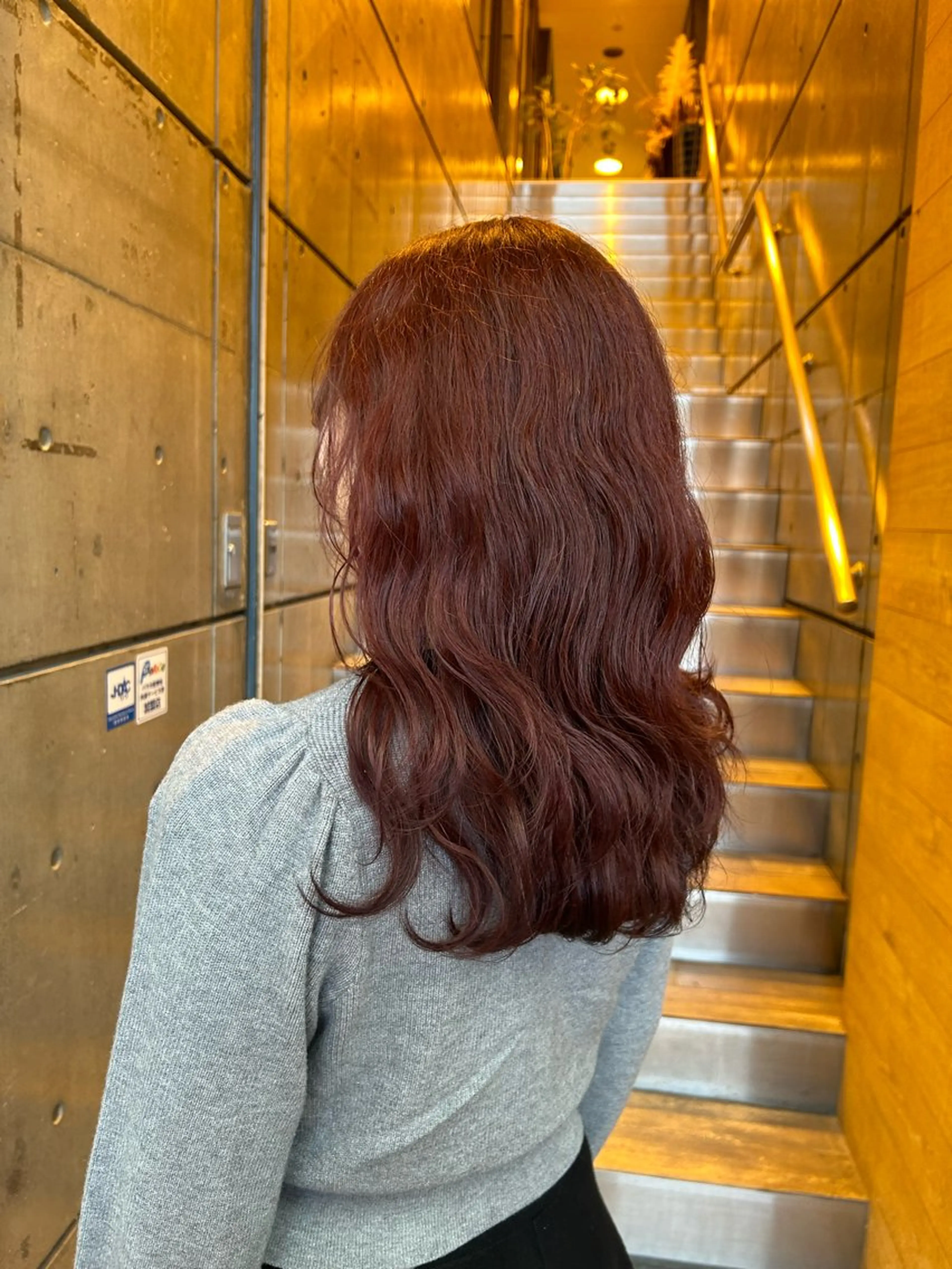 セミロング カラー ボルドーカラー SHICUNE /ミホのヘアスタイル