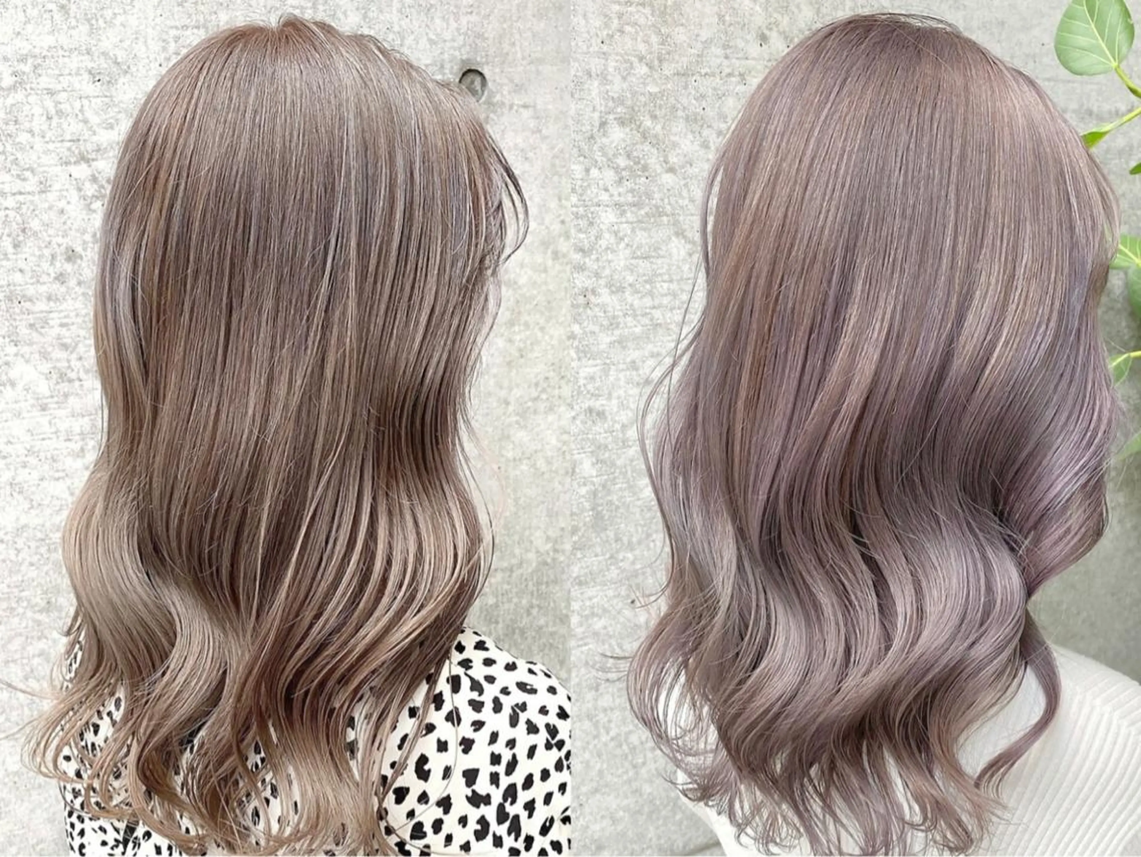 セミロング カラー ヘアアレンジ ベージュカラー ラベンダーカラー ラベンダーベージュ ミルクティーベージュ Ameri/髪質改善 /韓国ヘア🇰🇷のヘアスタイル