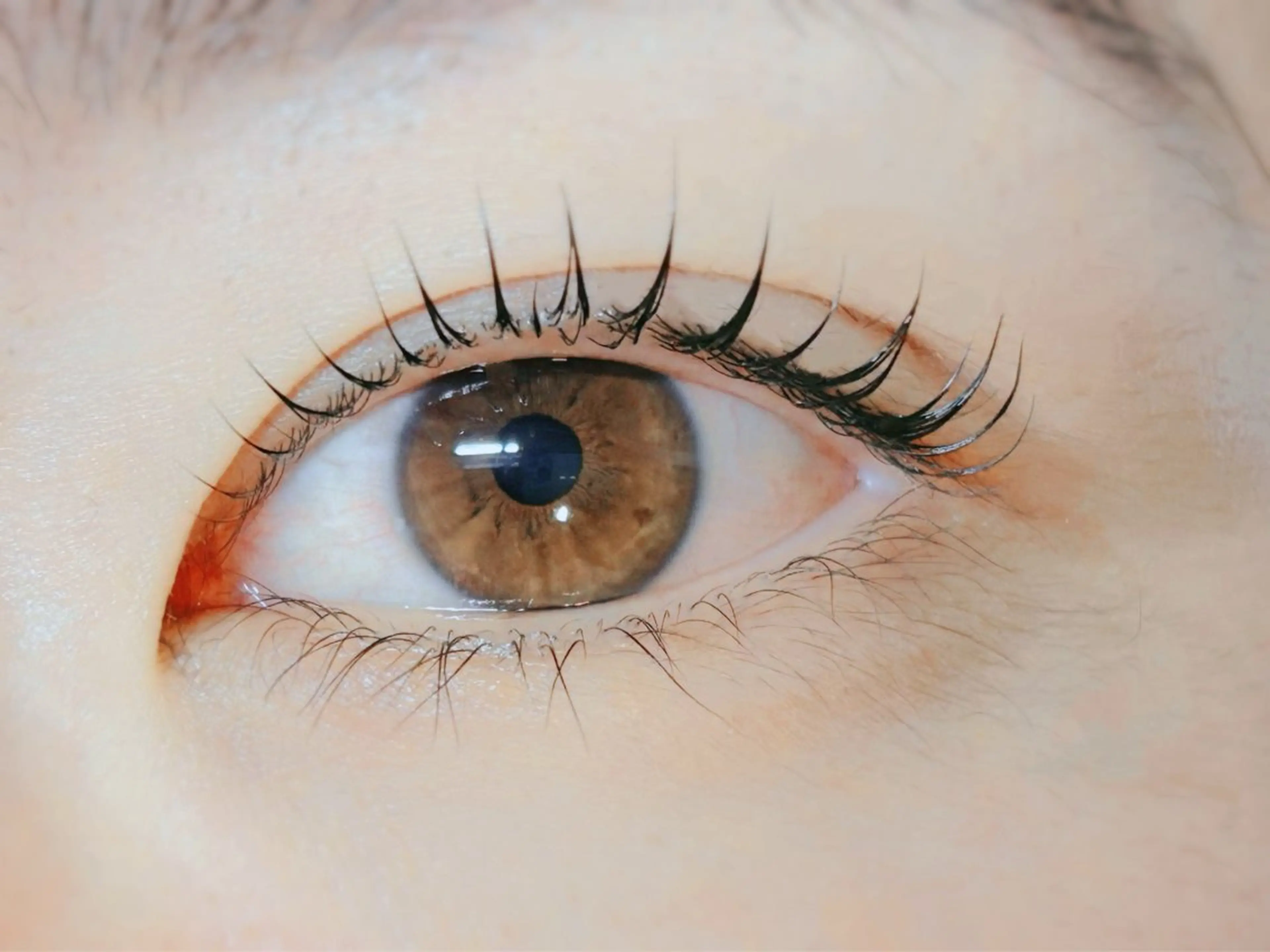 マツエク・マツパ Melia Chieのマツエク・マツパデザイン