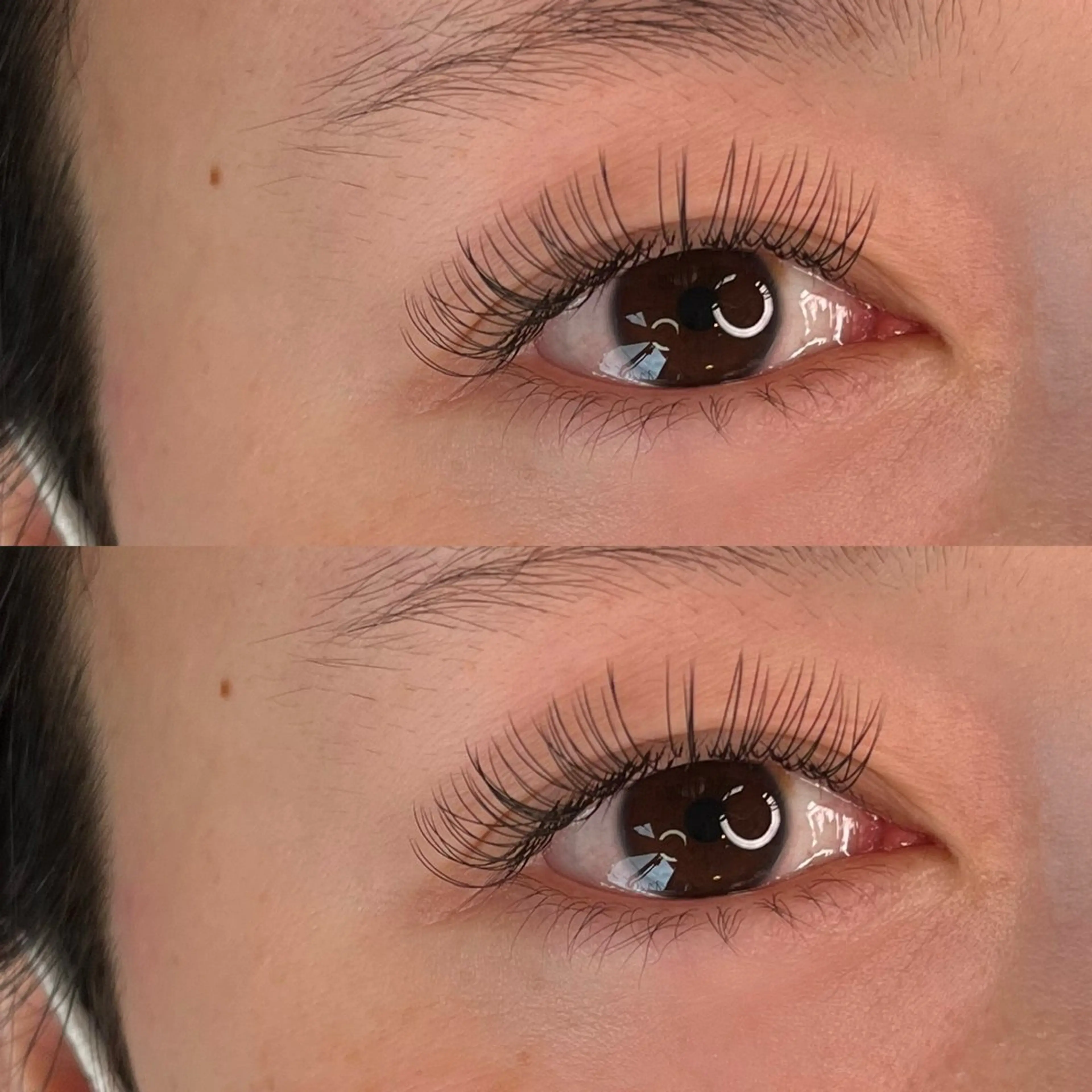 マツエク・マツパ CAMELLIA カメリアのマツエク・マツパデザイン