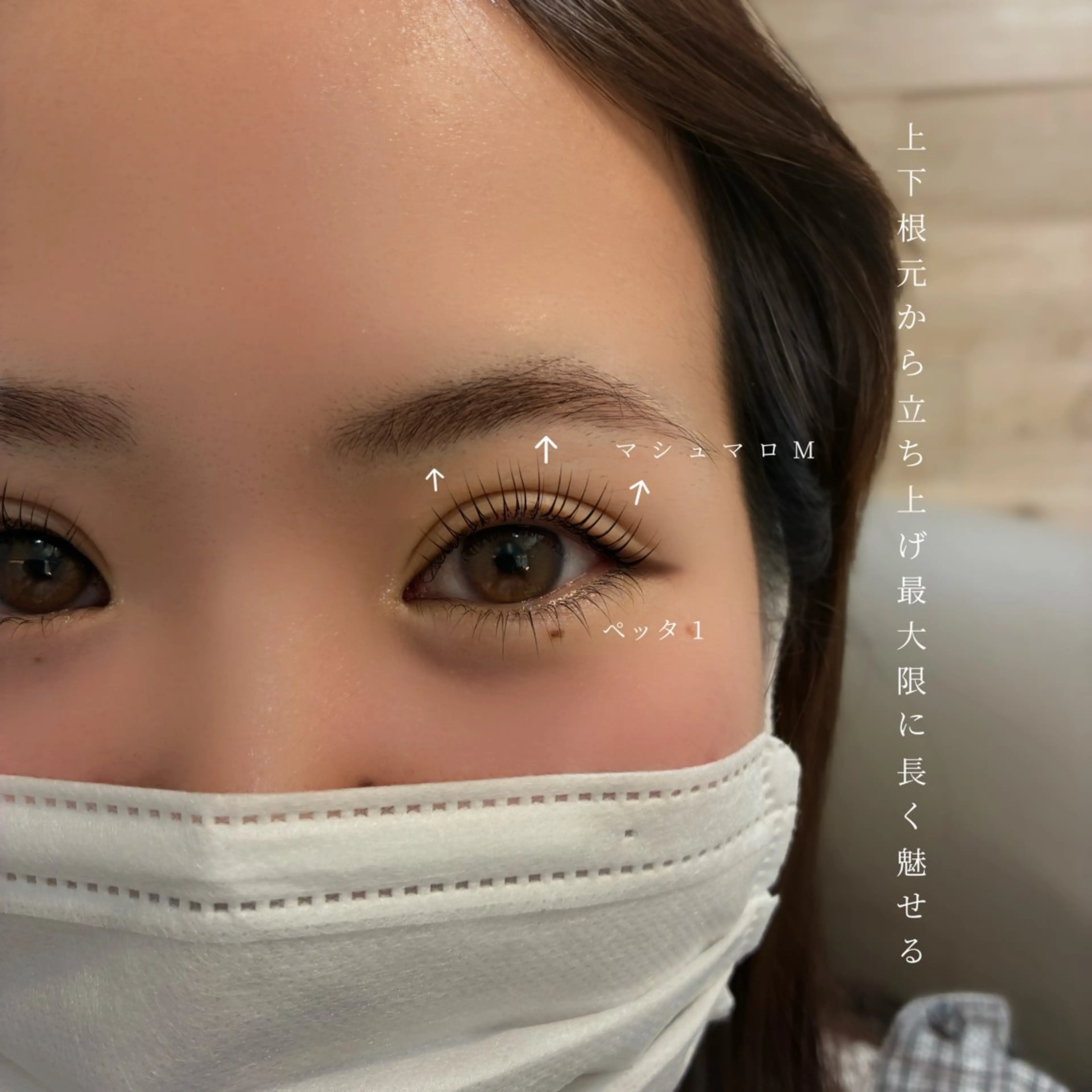 マツエク・マツパ マツパ ELLY 🪩横浜のマツエク・マツパデザイン