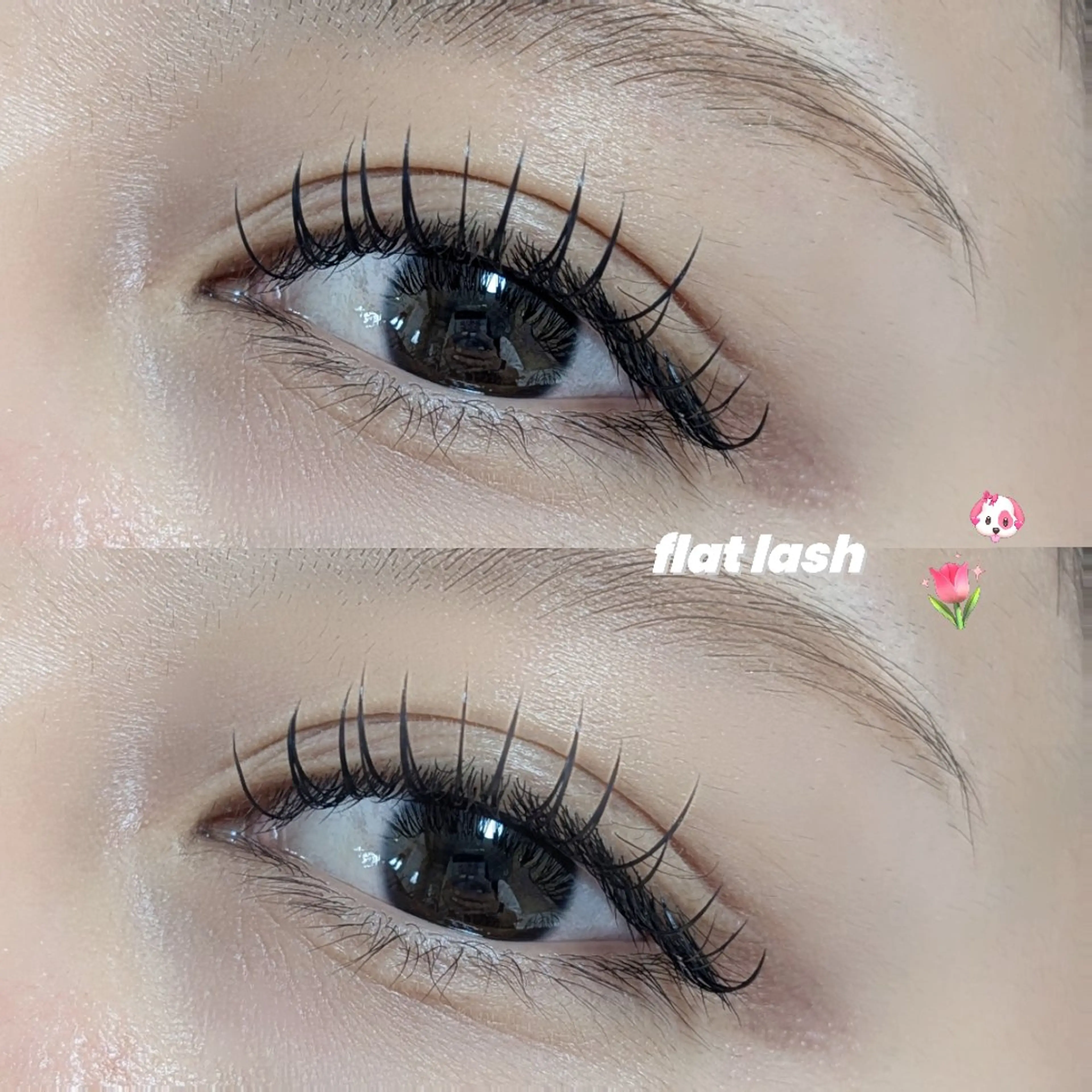 ﾌﾗｯﾄﾗｯｼｭ🖤❨100本❩の写真