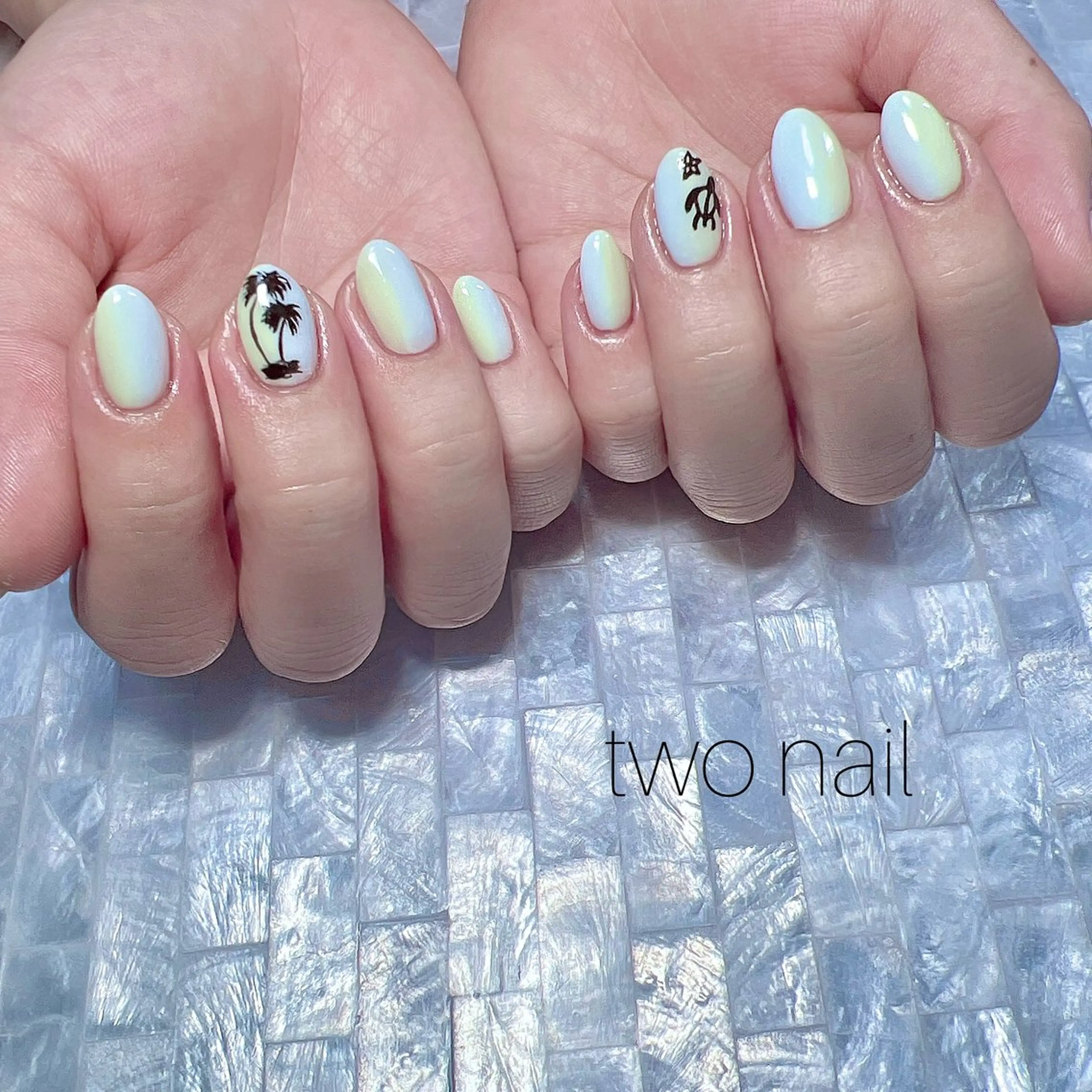ネイル アートネイル ネイルチップ ホワイト ハンドネイル two nailのネイルデザイン
