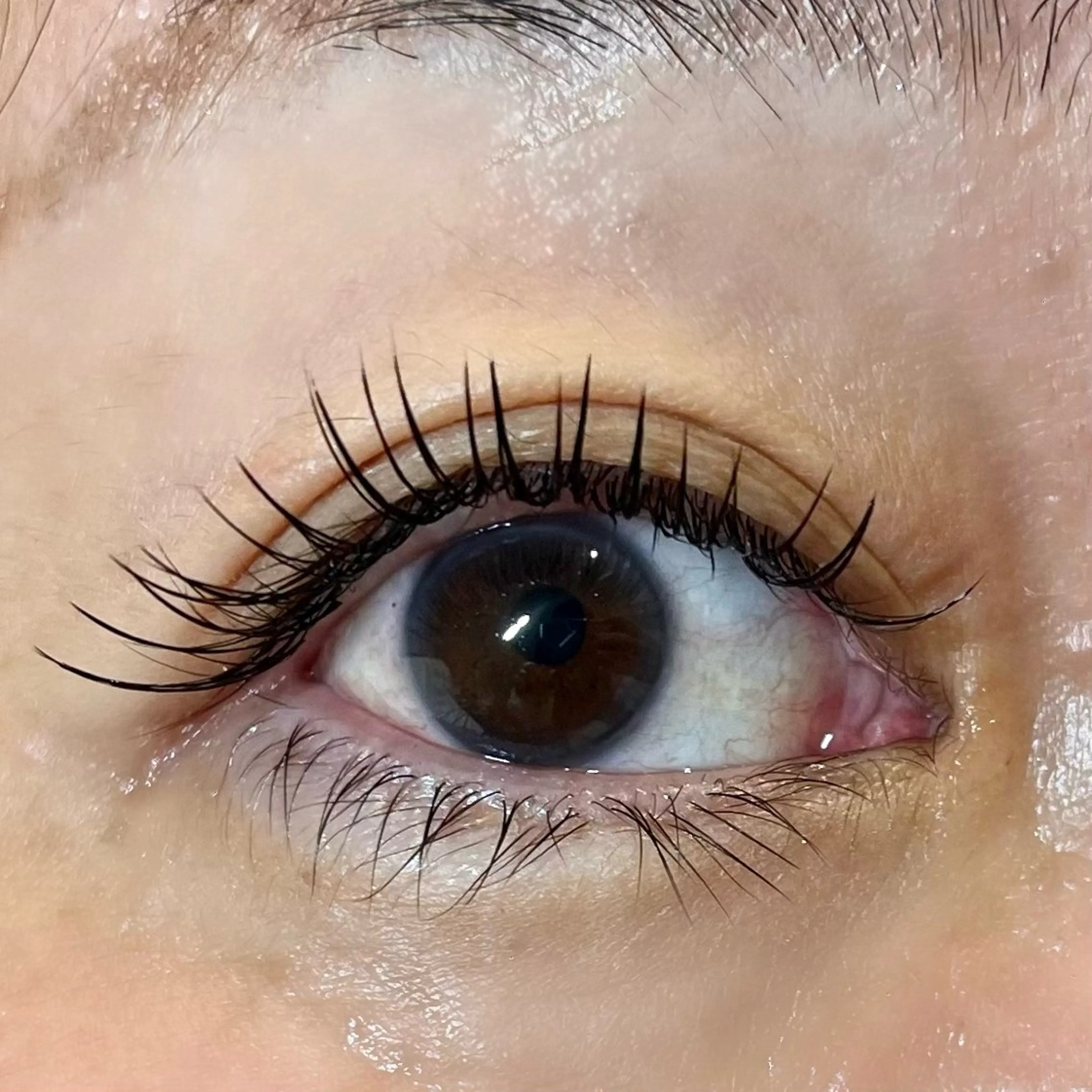 マツエク・マツパ nail&eye Lily  吹田・千里丘店所属・【Lily千里丘店】 ウメザキのマツエク・マツパデザイン