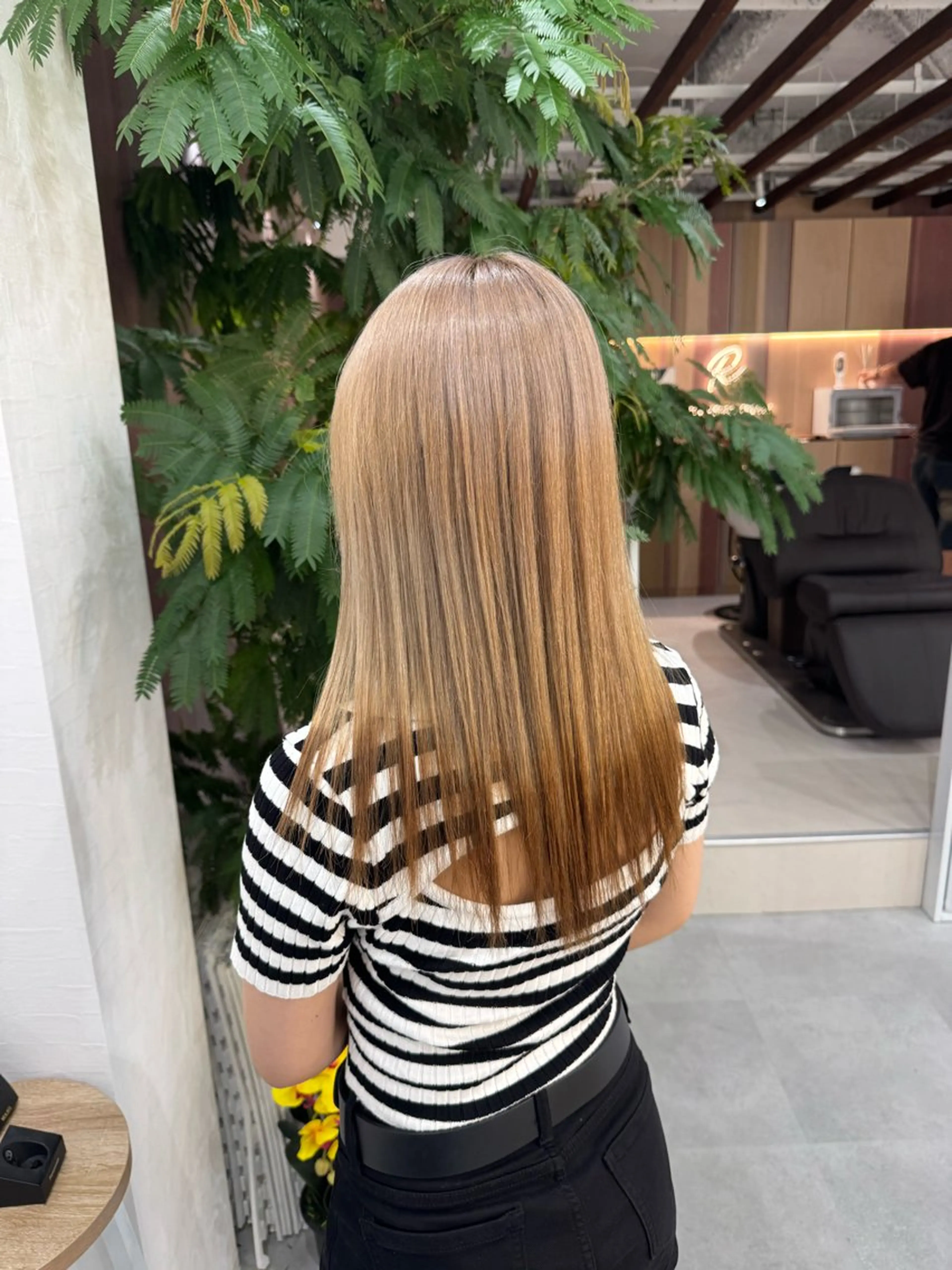 エンドカラーの写真