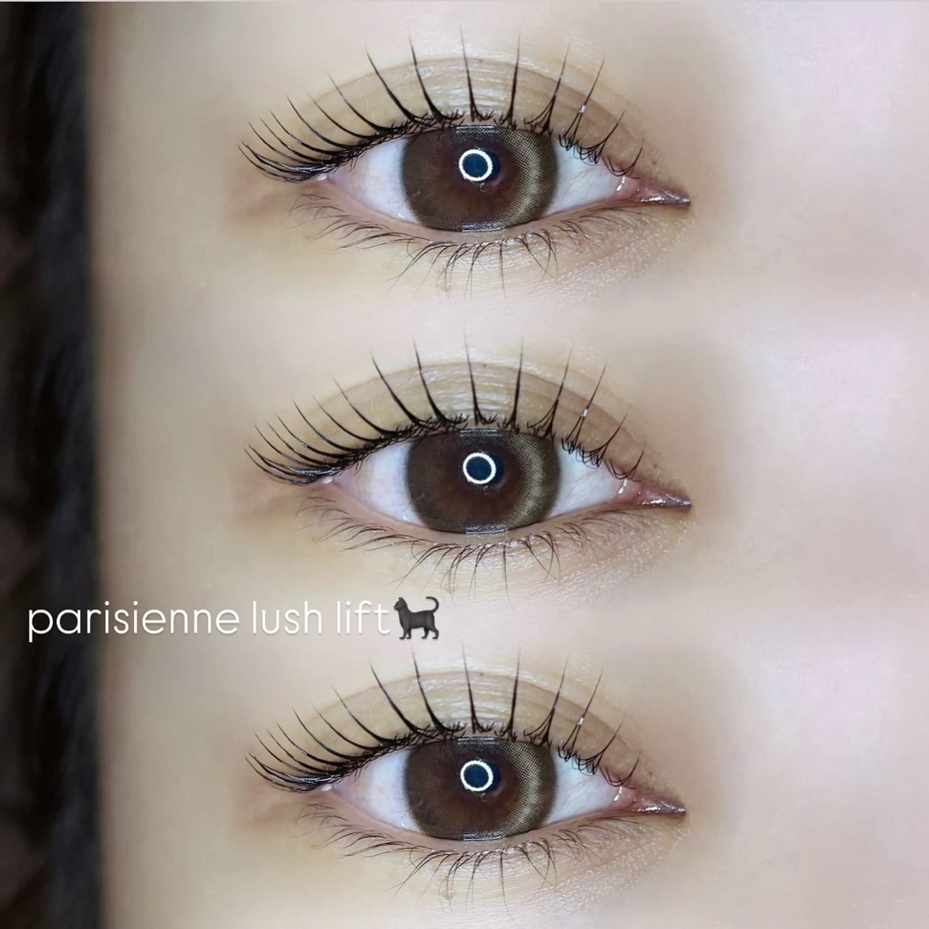 マツエク・マツパ 🎀fein. official🎀の眉毛・アイブロウイメージ