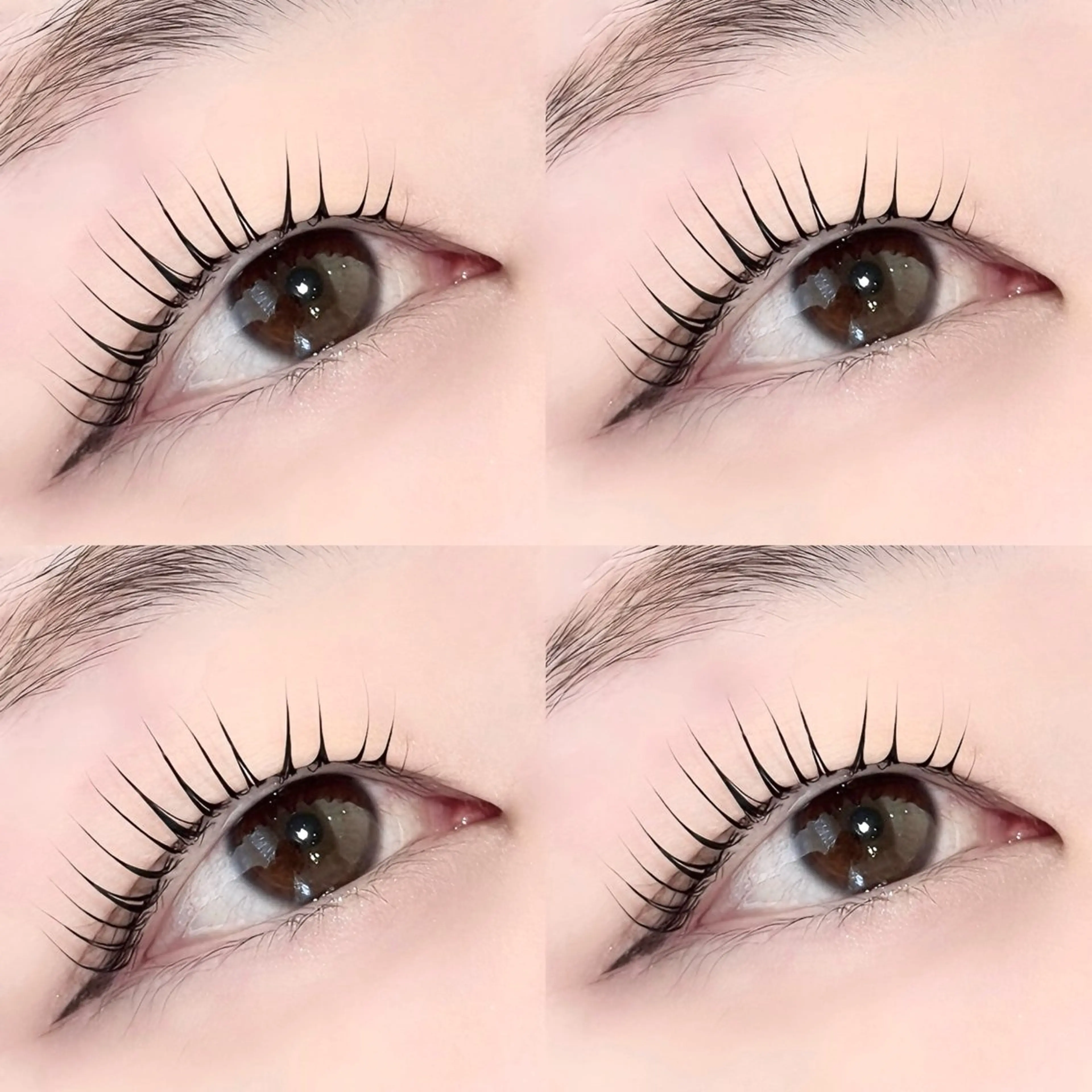 マツエク・マツパ Ayame&heal thy/ワンホン\のマツエク・マツパデザイン