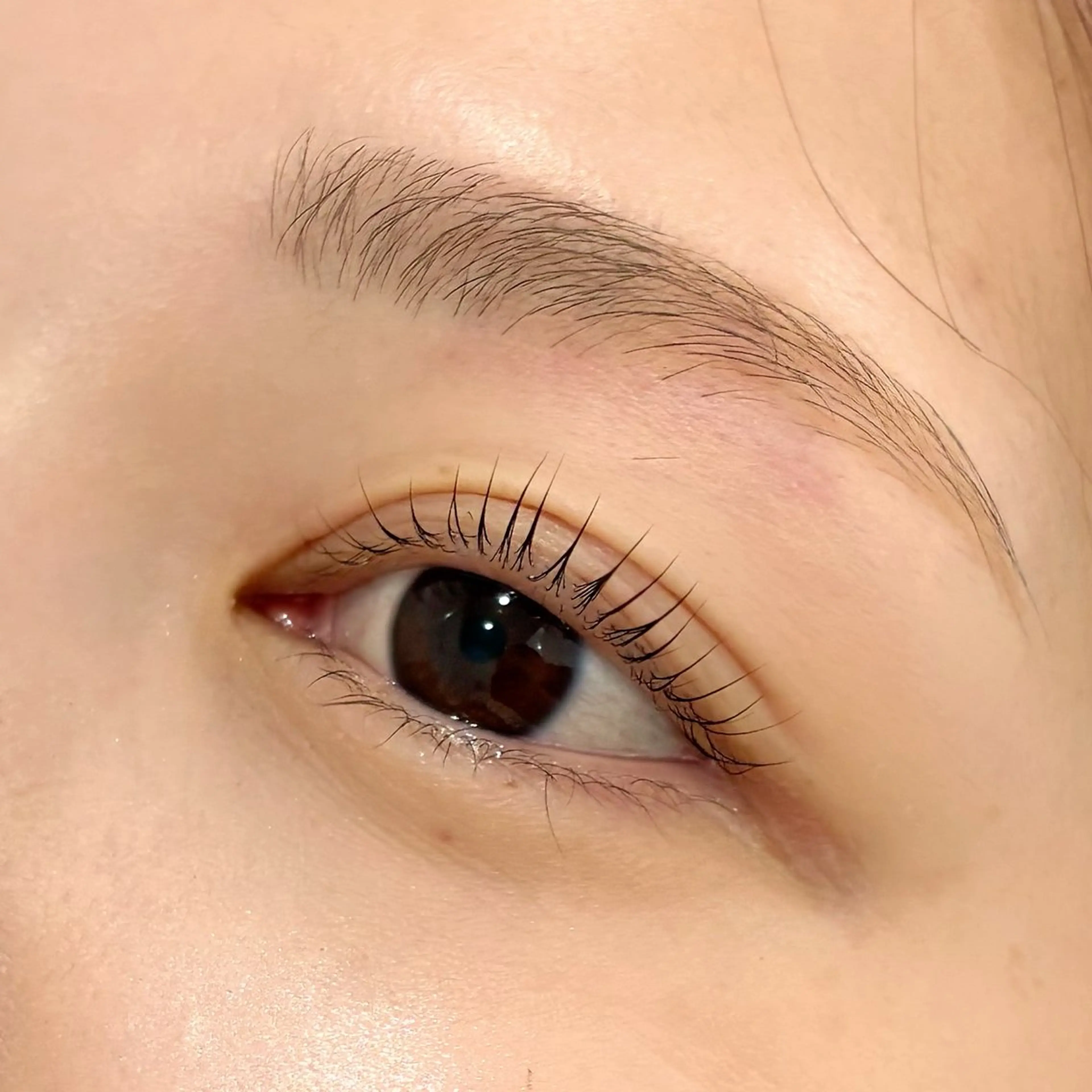 マツエク・マツパ Dカール WHITE EYE 長岡店所属・WHITE EYE 長岡店Chihiroのマツエク・マツパデザイン