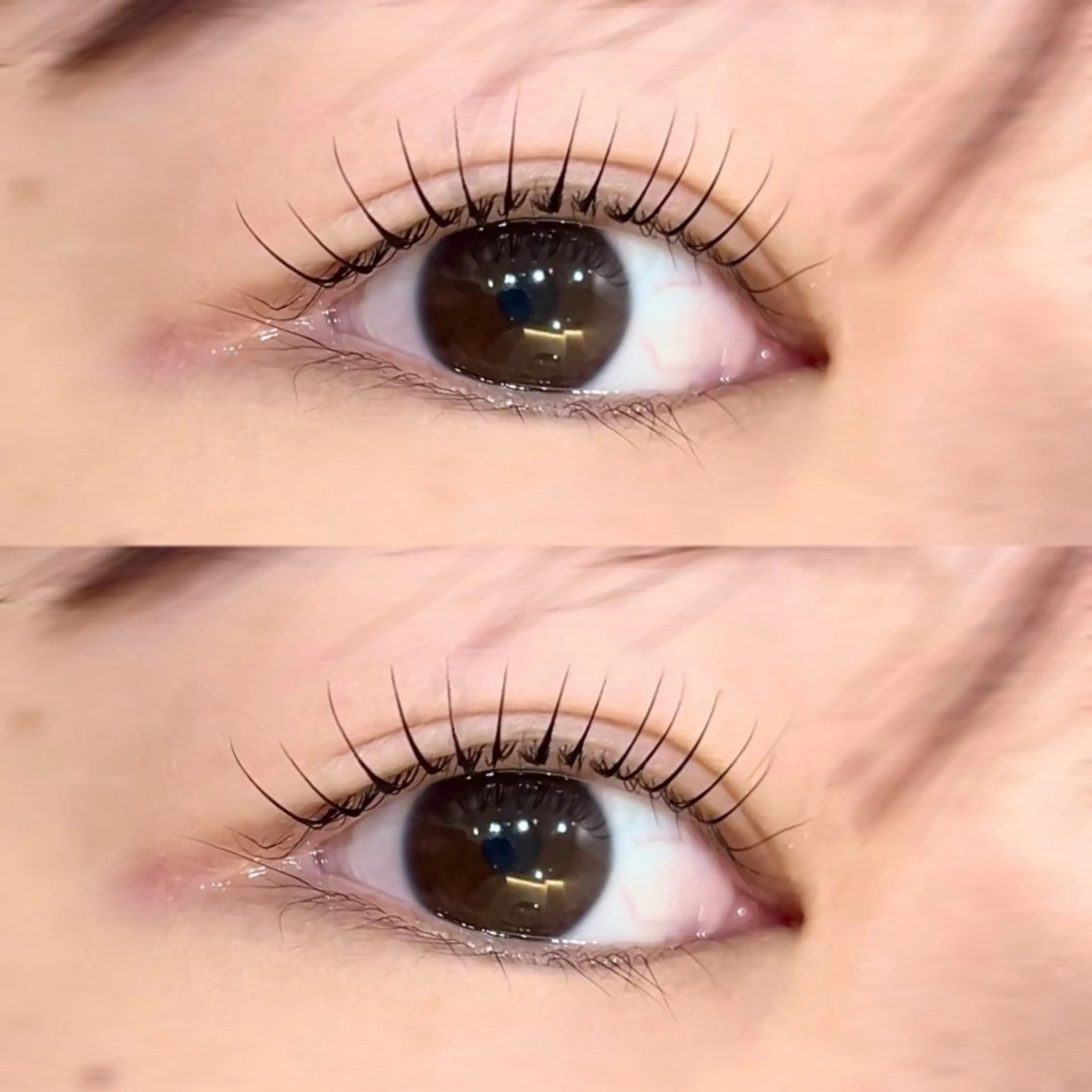 マツエク・マツパ マツパ 🇰🇷韓国スタイル /束間まつげ🎀ミキのマツエク・マツパデザイン