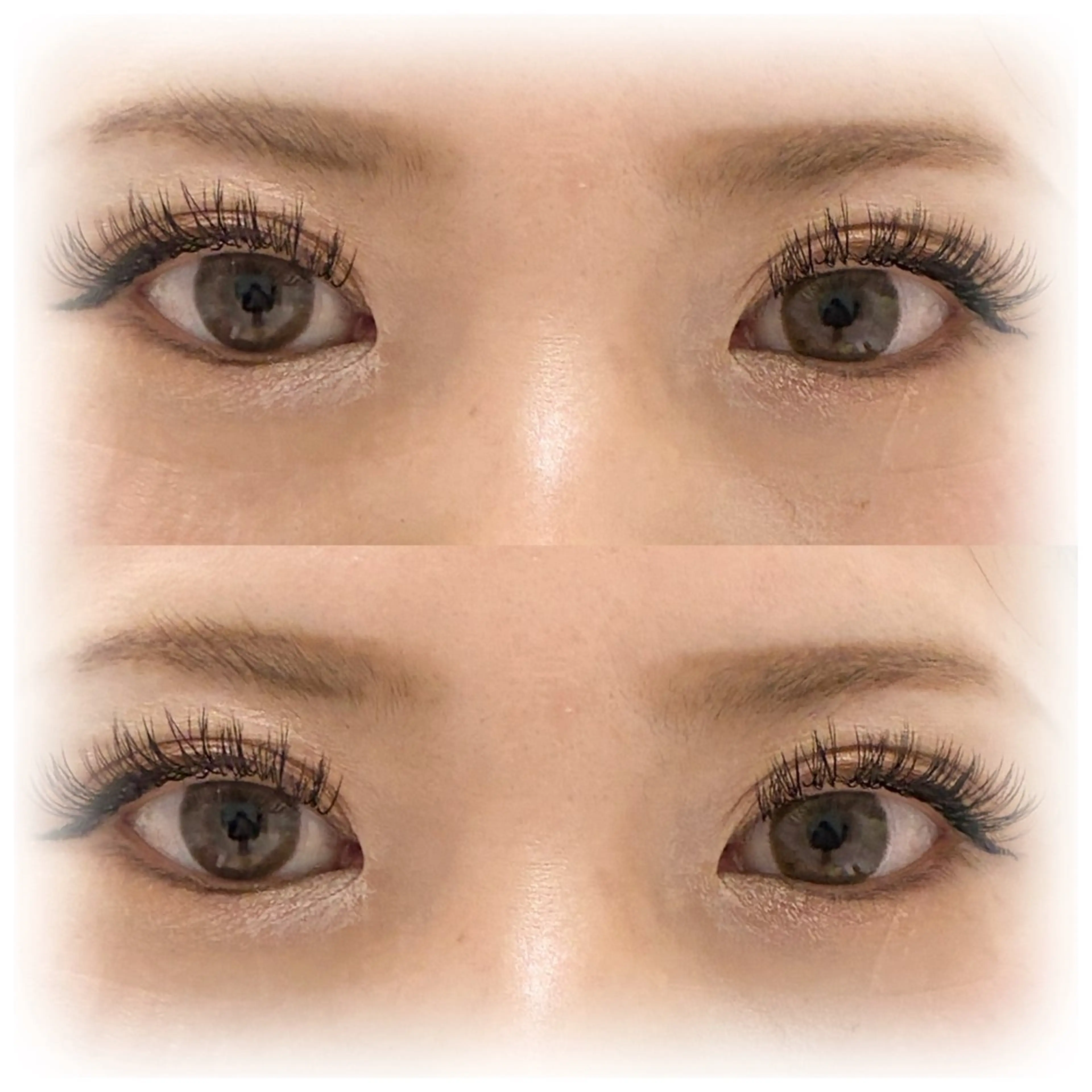 🌻まつげエクステ🌻ダブルフラット100束の写真