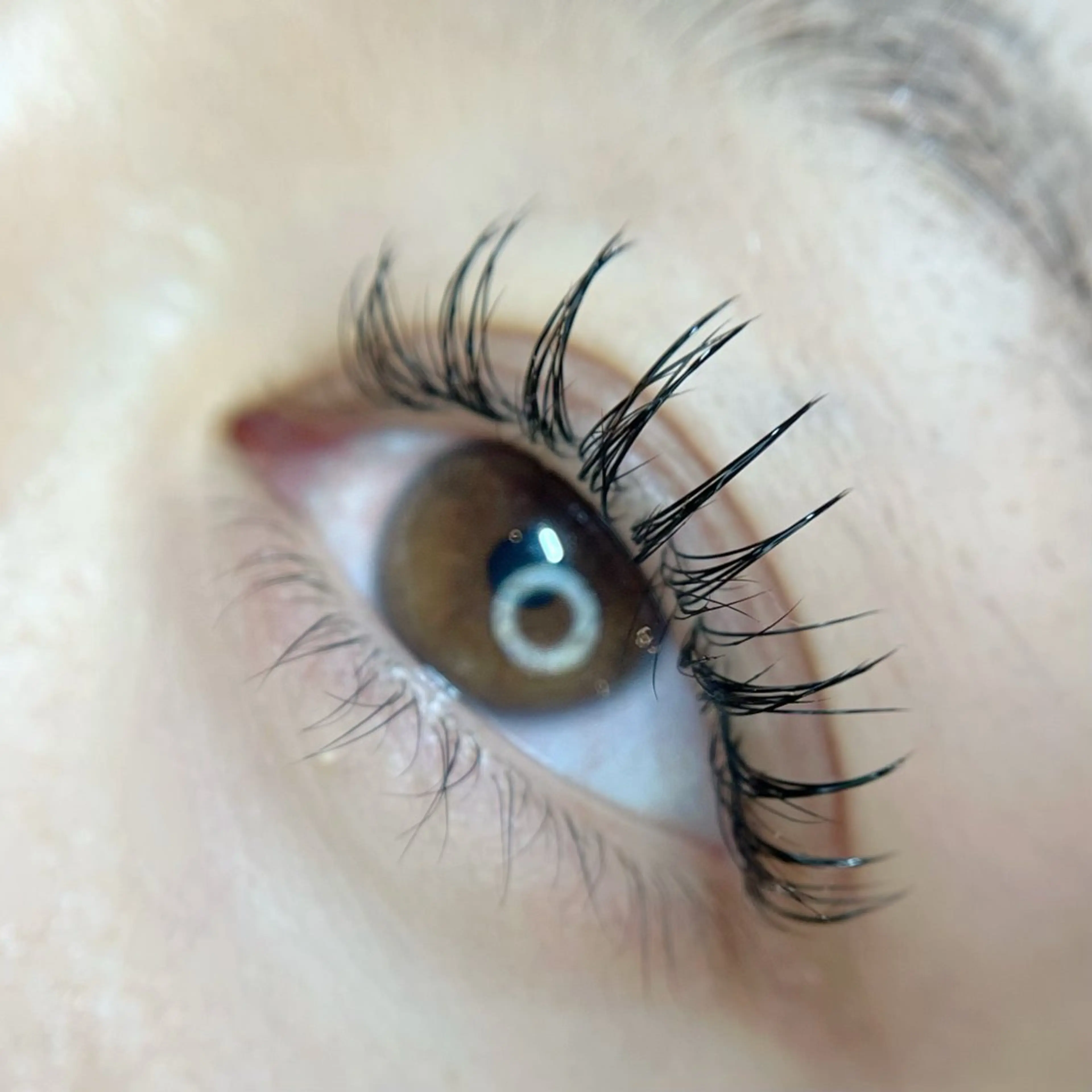 マツエク・マツパ マツエク sHeeR【シアー】 ハマナカのマツエク・マツパデザイン