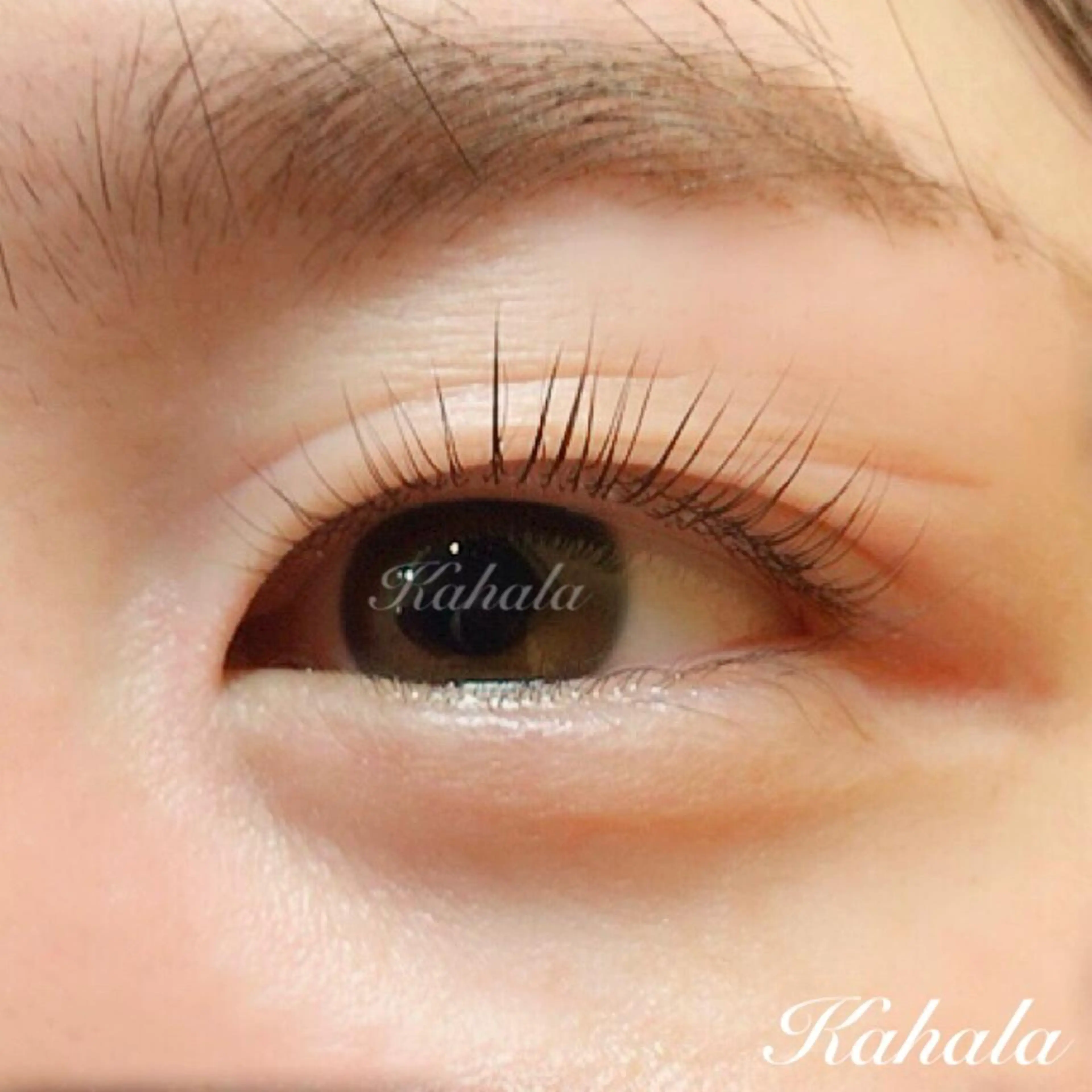 マツエク・マツパ Fujimoto 🦭⸝⋆꙳のマツエク・マツパデザイン